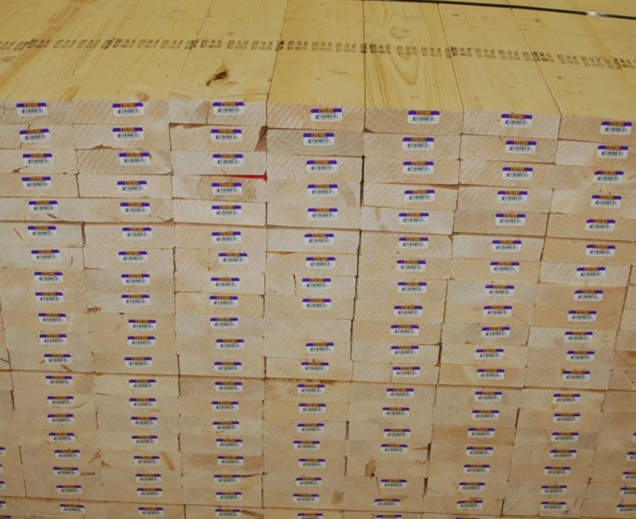 Interfor 6057 Lumber-Studs - View #4