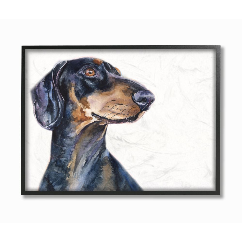 Stupell Industries PWP-248-FR-24X30 Dachshund Dog Pet Animal Watercolor Painting George Dyachenko Framed 30-in H x 24-in W Abstract Print