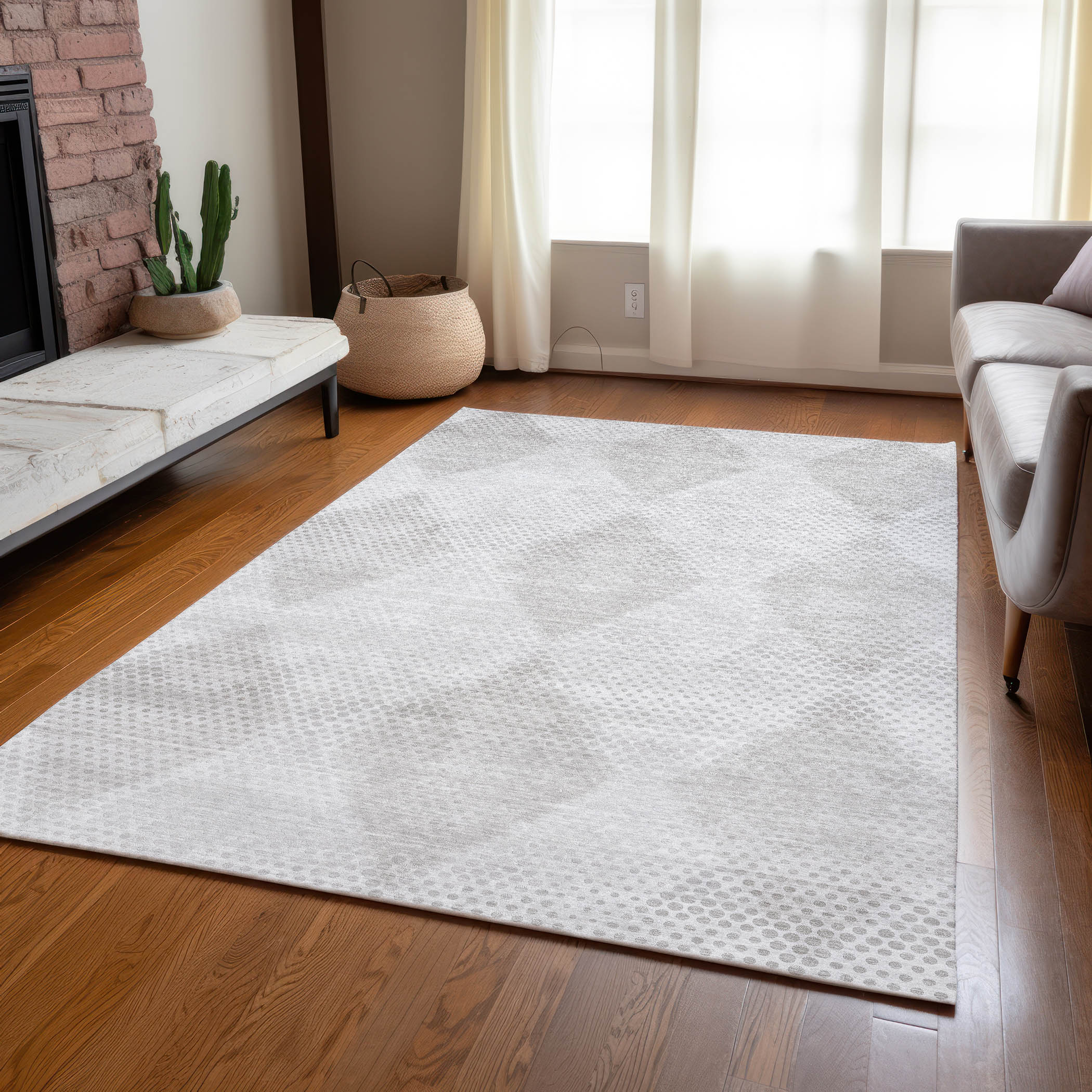 Addison Rugs ACN539IV30X46 rugs - View #7
