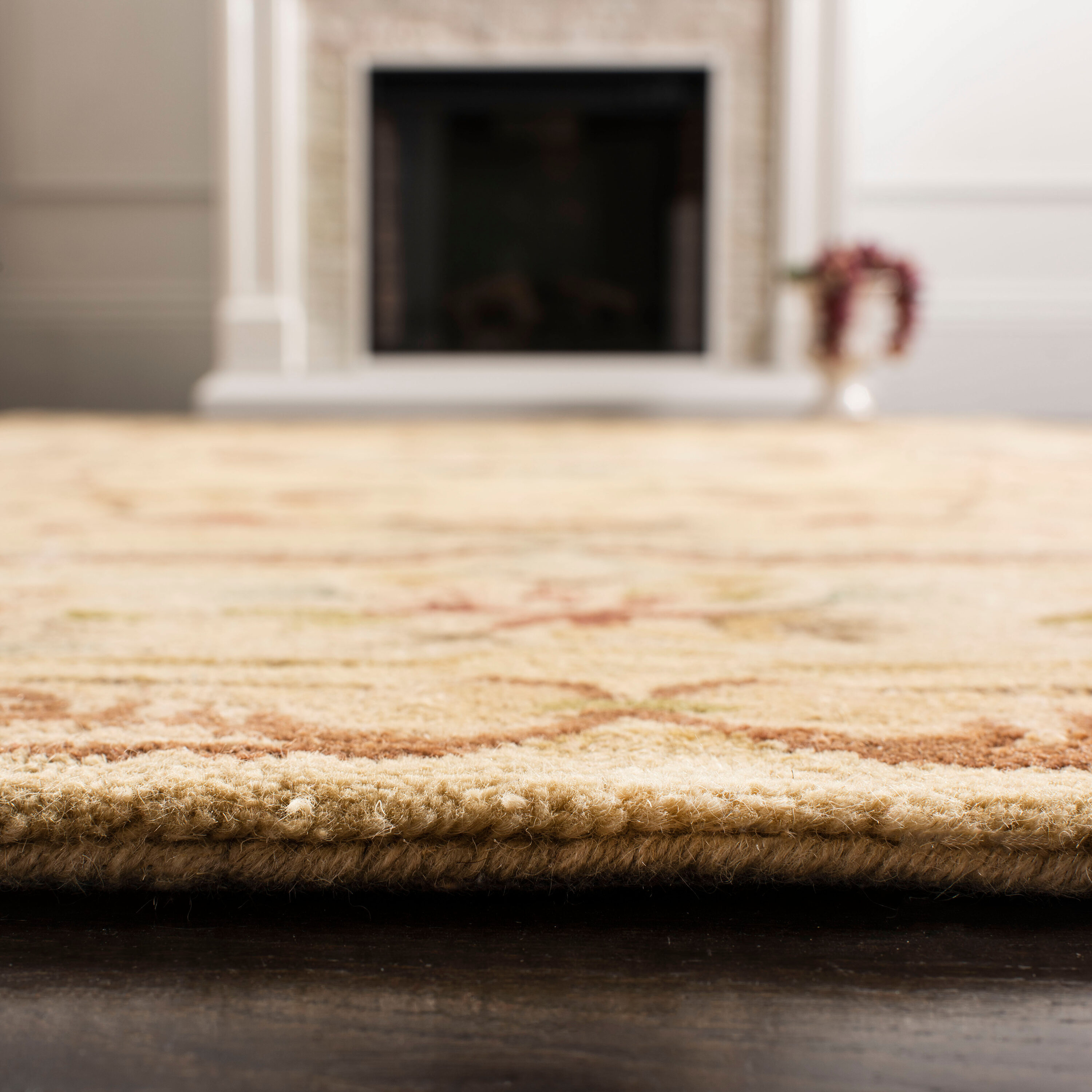 Safavieh BRG168A-5 rugs - View #4