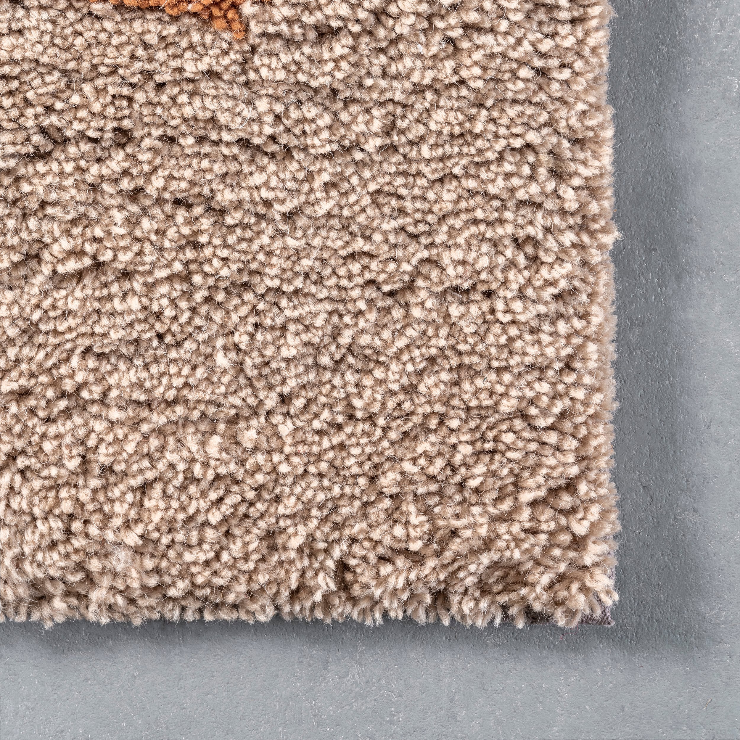 nuLOOM JRAR02A-8010 rugs - View #4