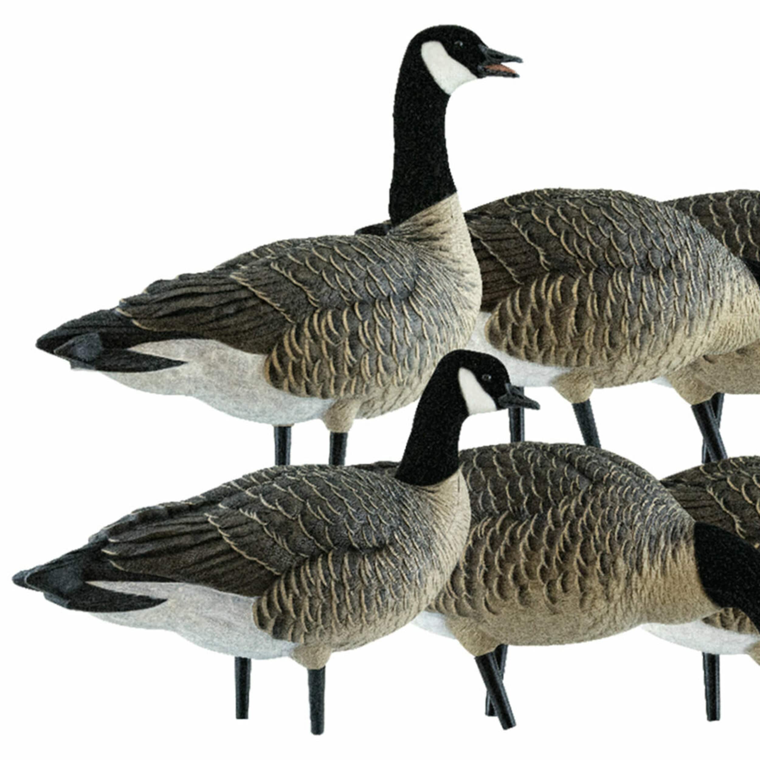  Avian X 408551 Hunting-Equipment - View #9