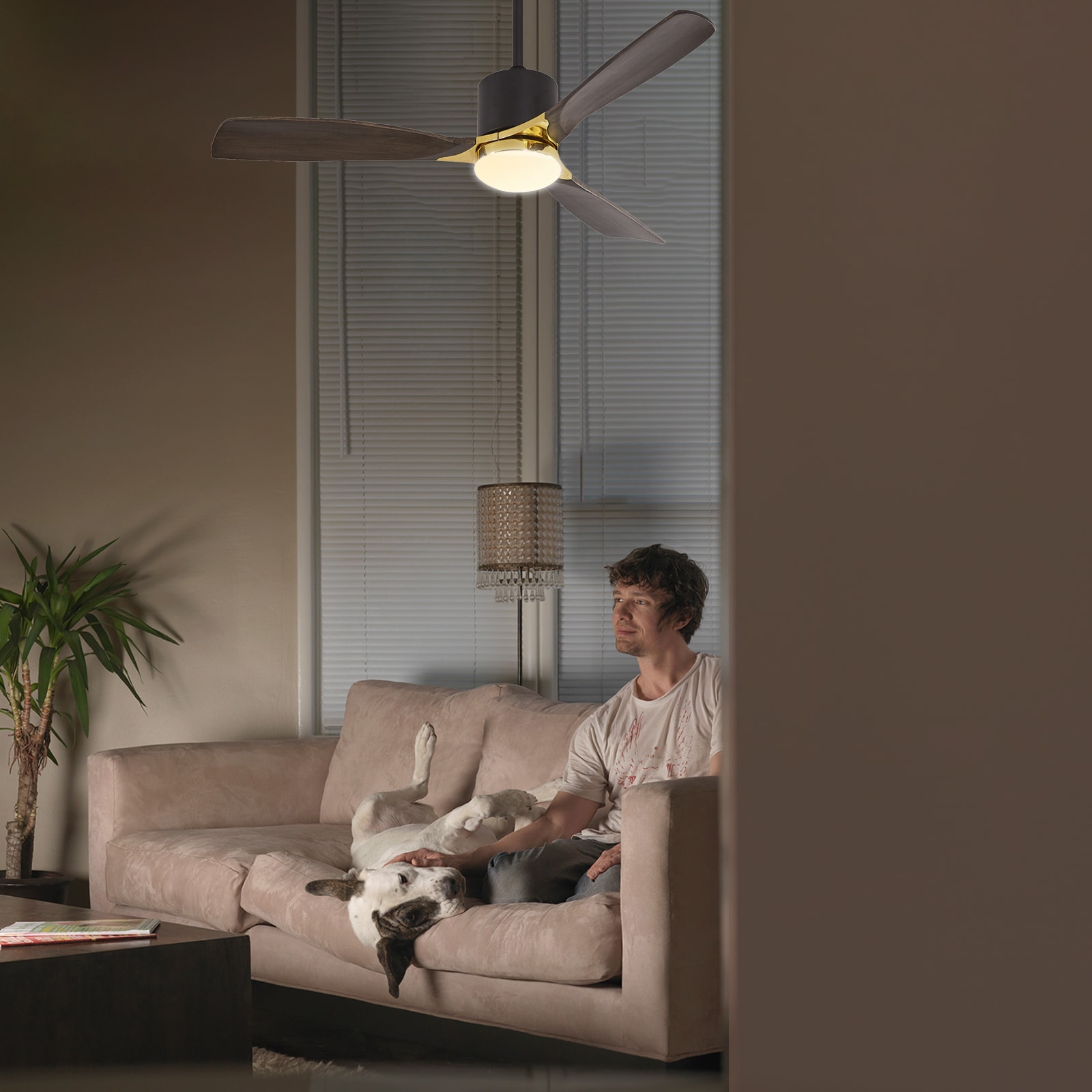 ExBrite LW11FL5203DKBNXXX Ceiling-Fans - View #5