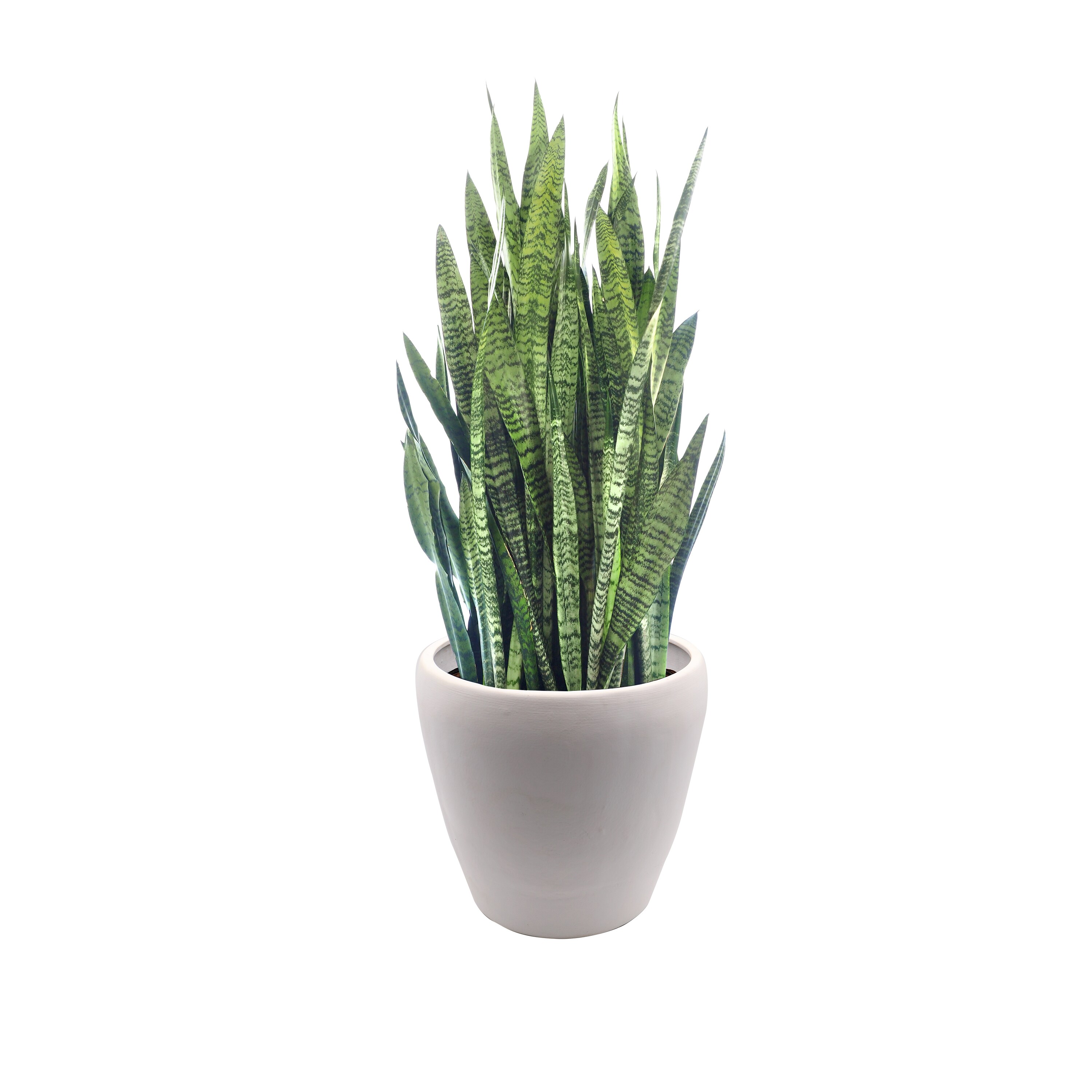 Evergreen 2CG843 Planter-Window-Box - View #3