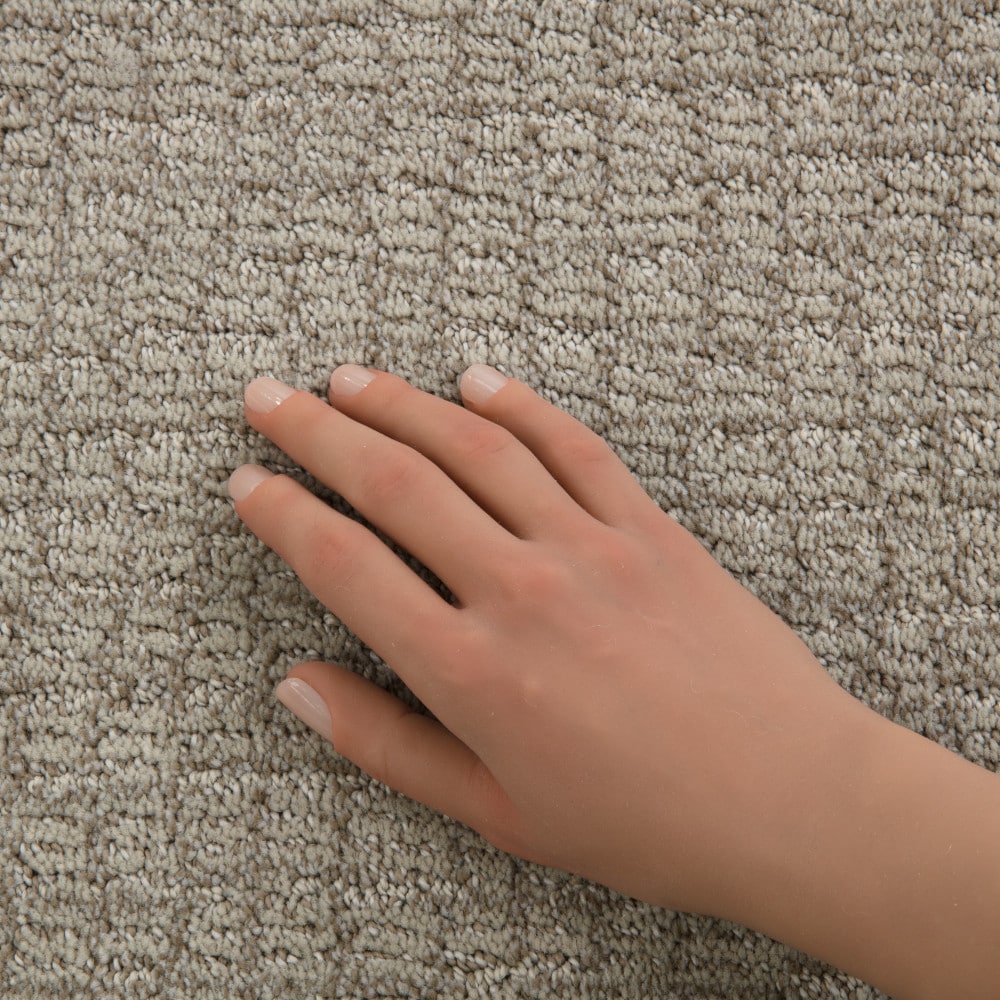 STAINMASTER PetProtect 7L94700111 Carpet-Panel - View #4