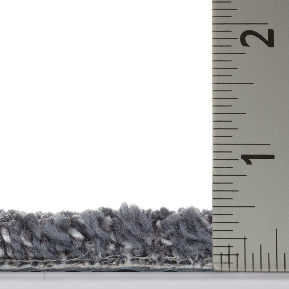 STAINMASTER PetProtect 7L97700402 Carpet-Panel - View #7