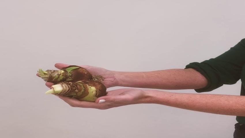 A thumbnail for the video