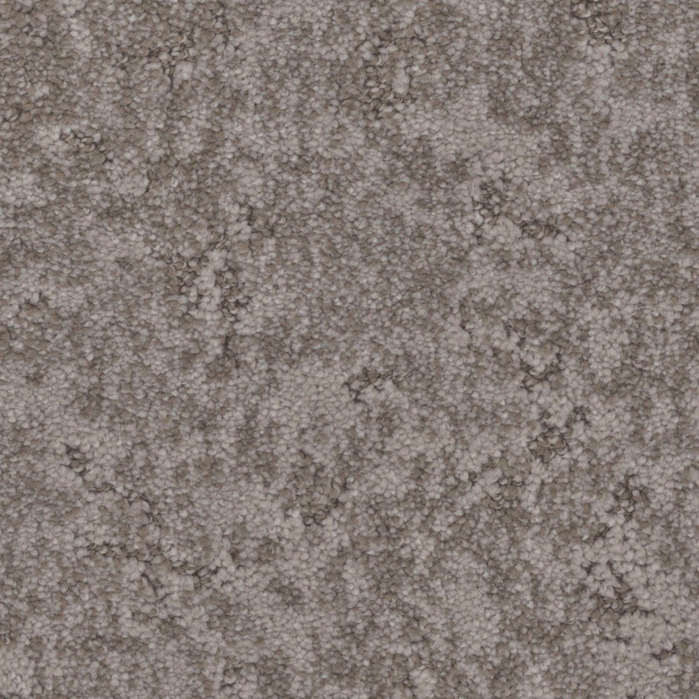 STAINMASTER PetProtect S9145-561-1200-MO Pine Knoll Cape Gray 45-oz sq yard Nylon Pattern Indoor Carpet