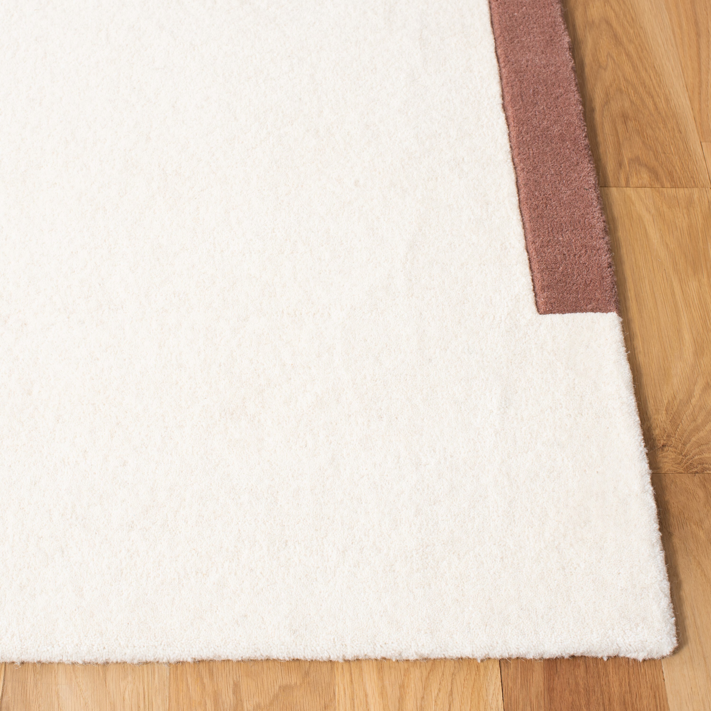 Safavieh FTV110A-10 rugs - View #3