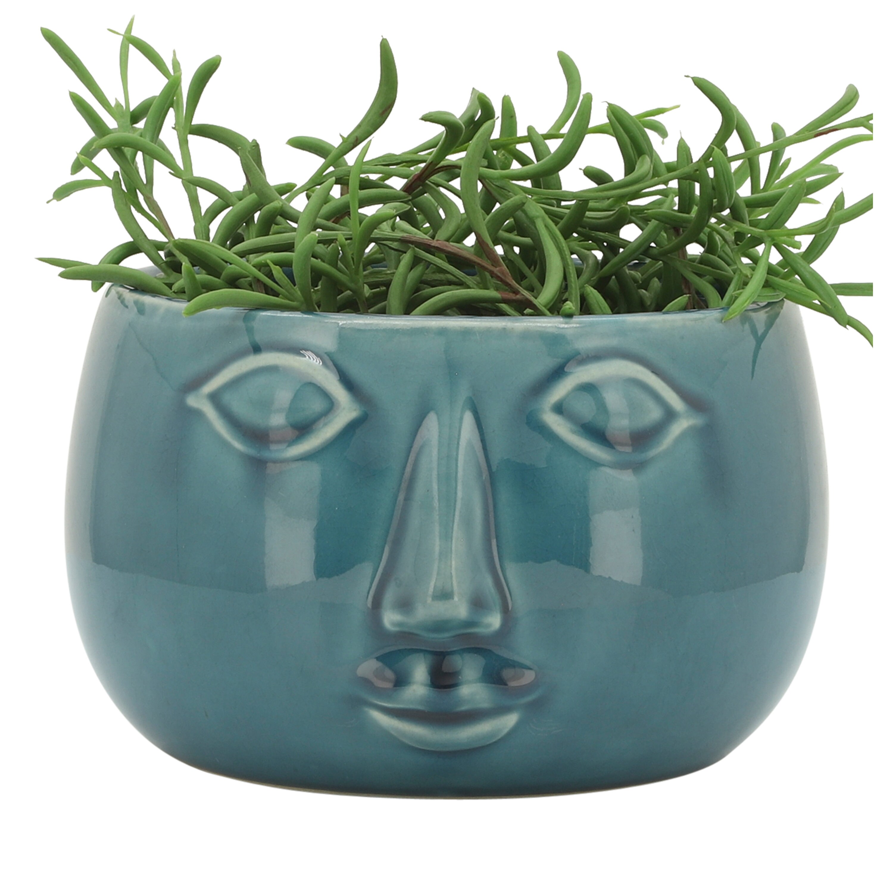 Sagebrook Home 14960-03 Planter-Window-Box - View #4