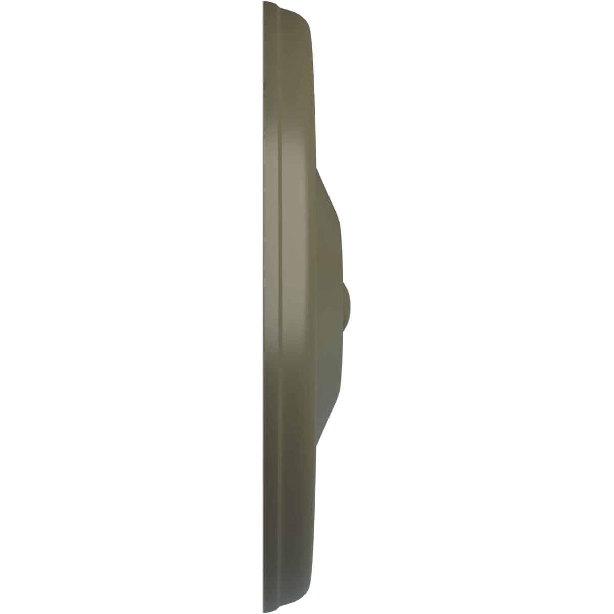Ekena Millwork CM12REPTF Ceiling-Medallions - View #3