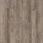 Webster Oak Glue Down