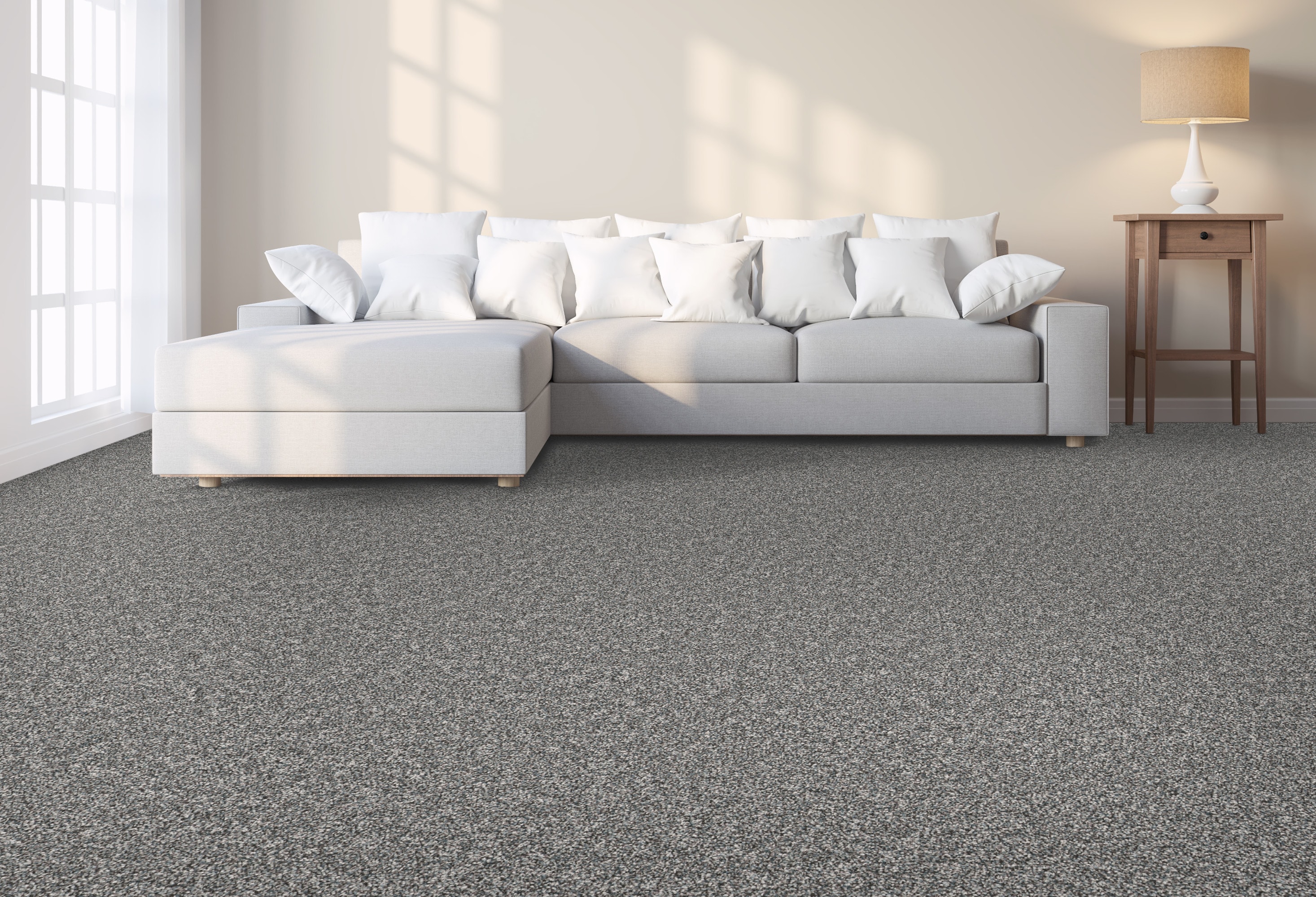 STAINMASTER PetProtect 7L931-444-SAMP Carpet-Samples - View #2