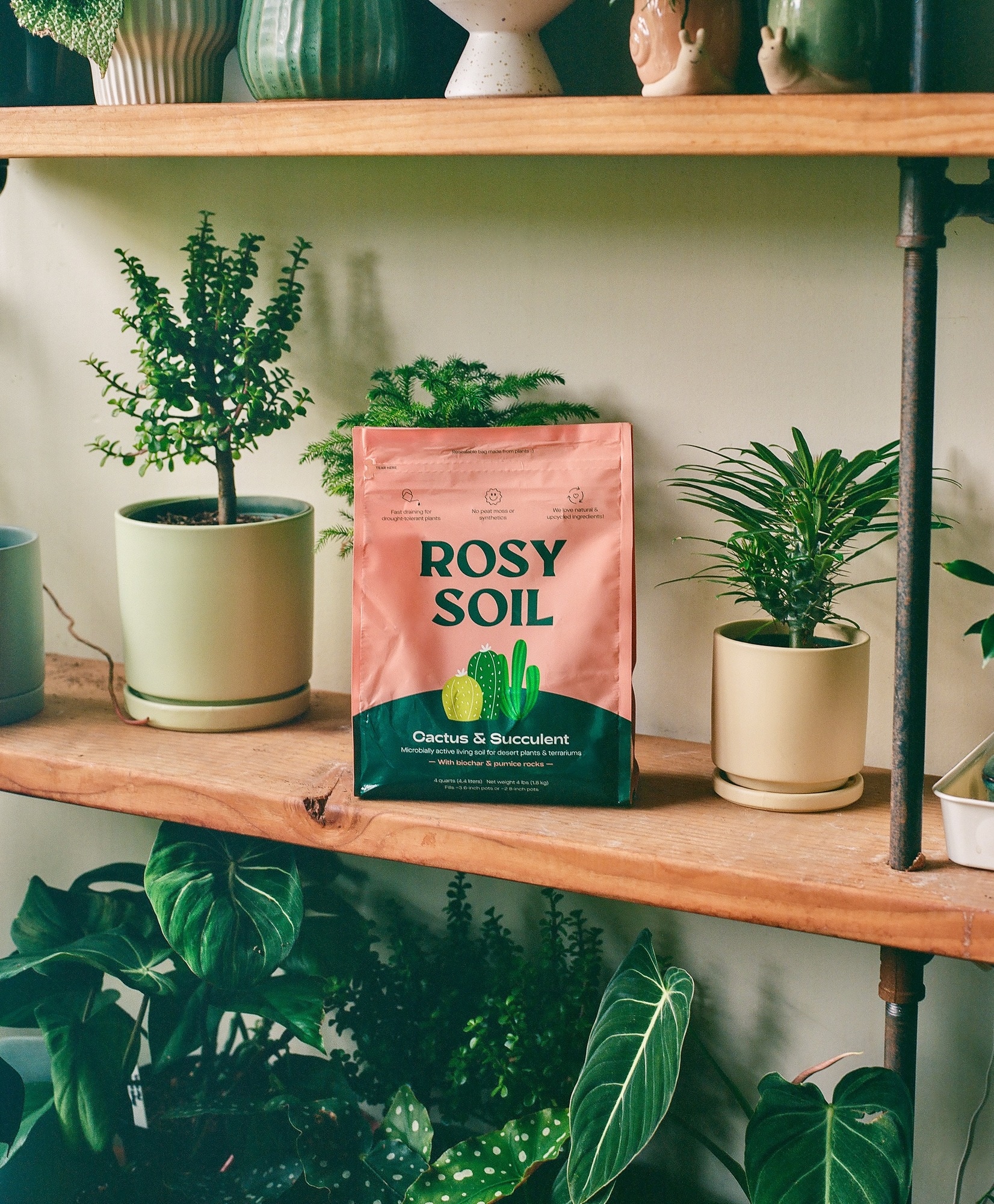 Rosy Soil 196852105274 Garden-Soil-Soil-Amendments - View #9