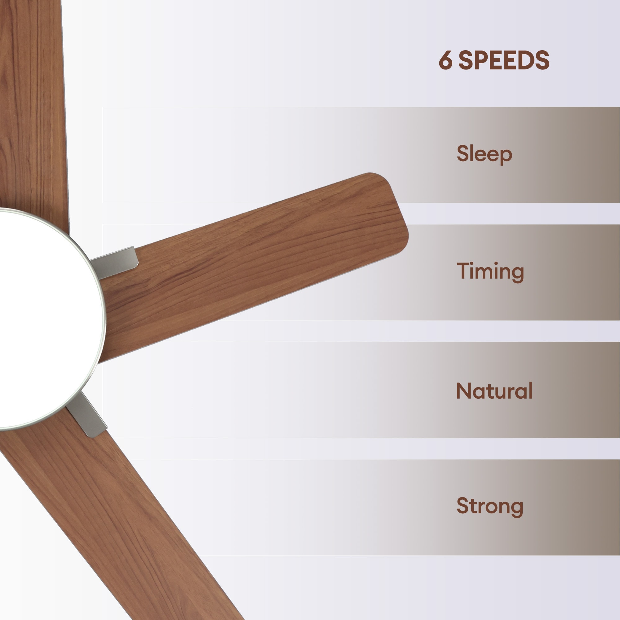 SILJOY WY-009D-44-03 Ceiling-Fans - View #10
