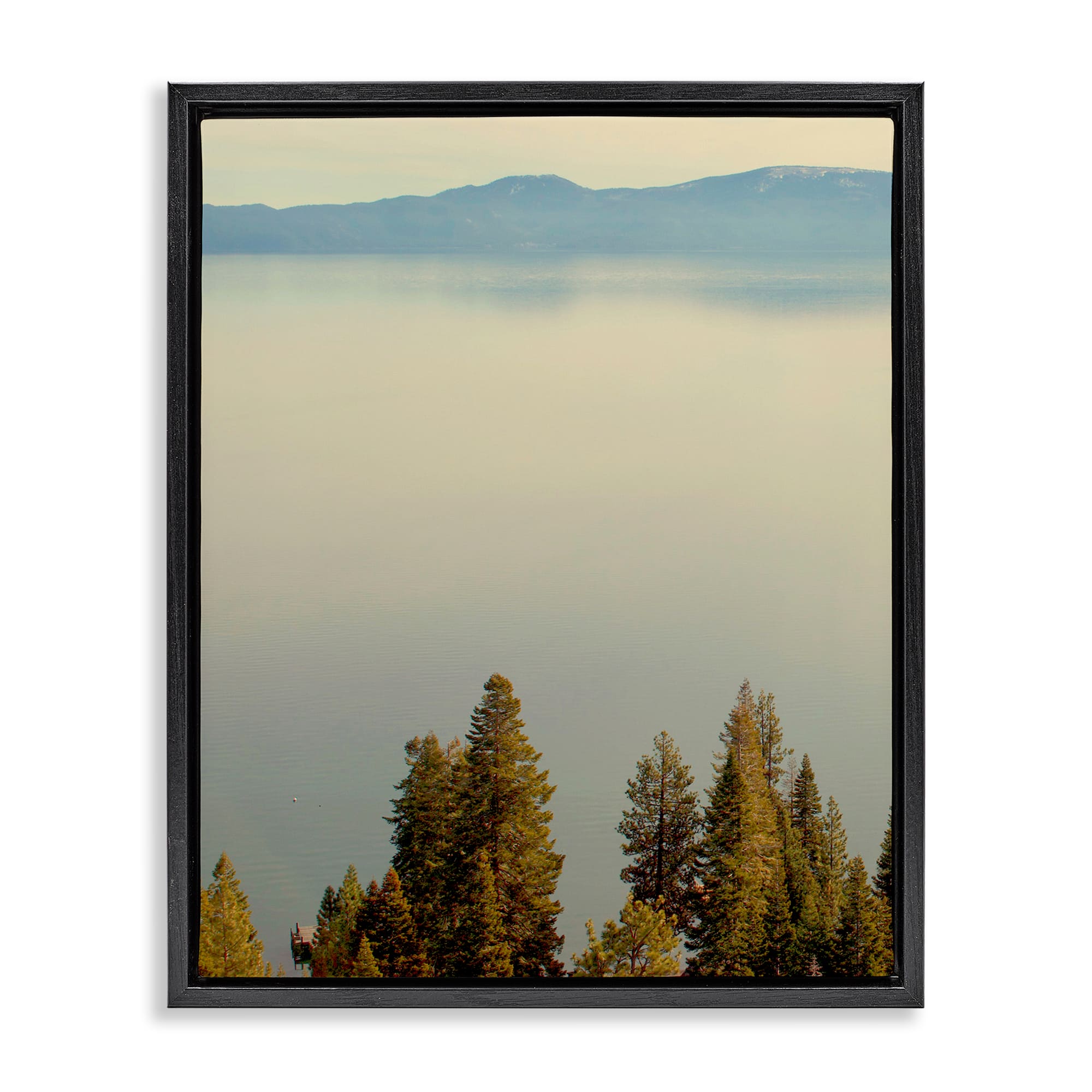 Stupell Industries BU-143-FFB-24X30 Pure Bliss Lake View Floating Frame design by Gemma Bardot