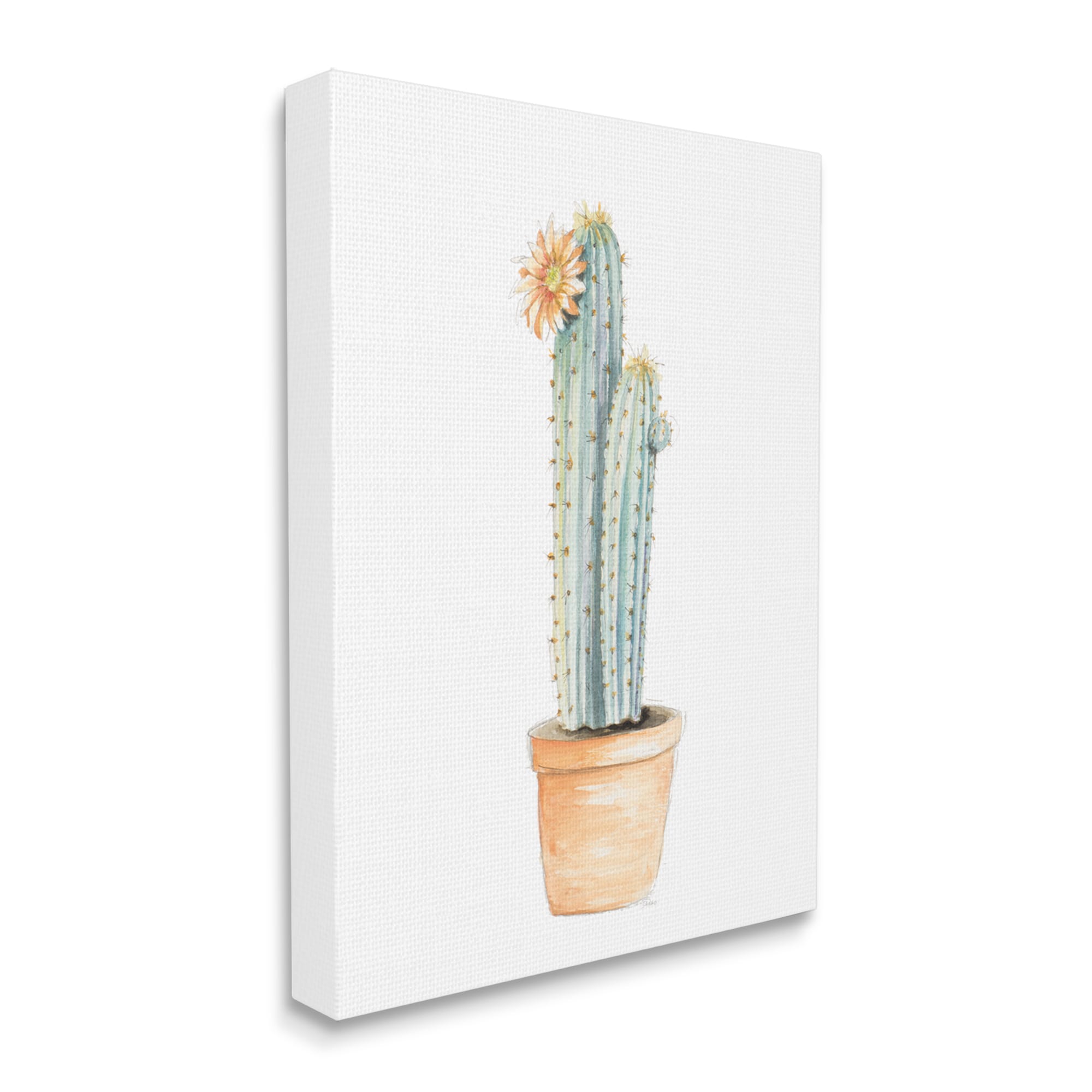 Stupell Industries Flowering Cactus Minimal Tones Patricia Pinto H x 24-in W Floral Print on Canvas in the Wall Art department at Lowes.com