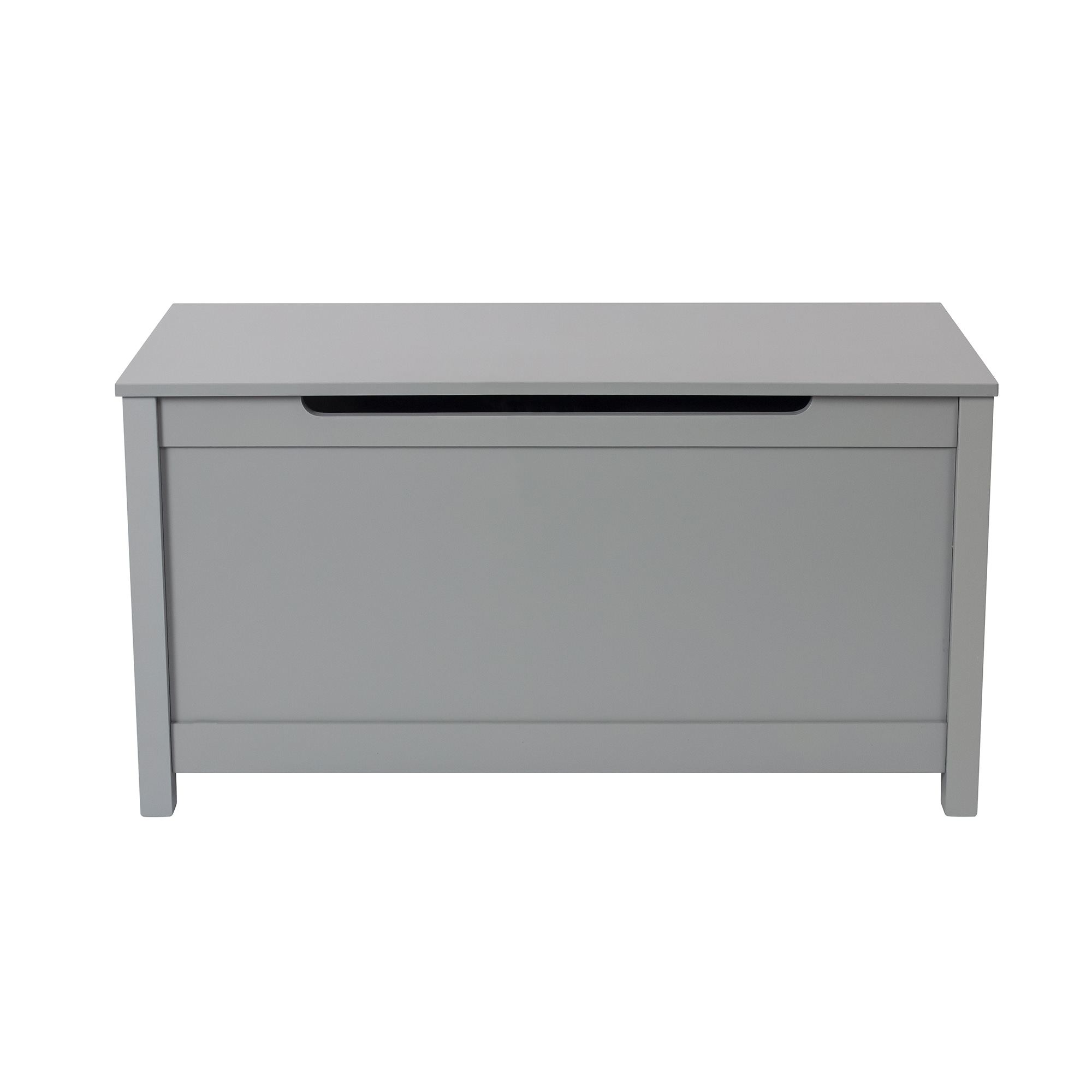 Gzmr Contemporary Gray Wooden Toy Box