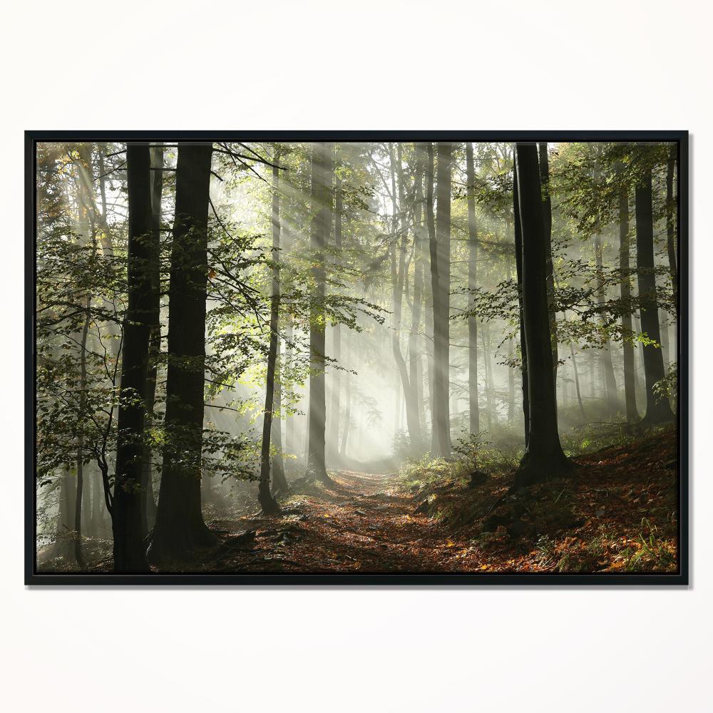 Designart Wood Floater Frame 14-in H x 22-in W Landscape Print on ...