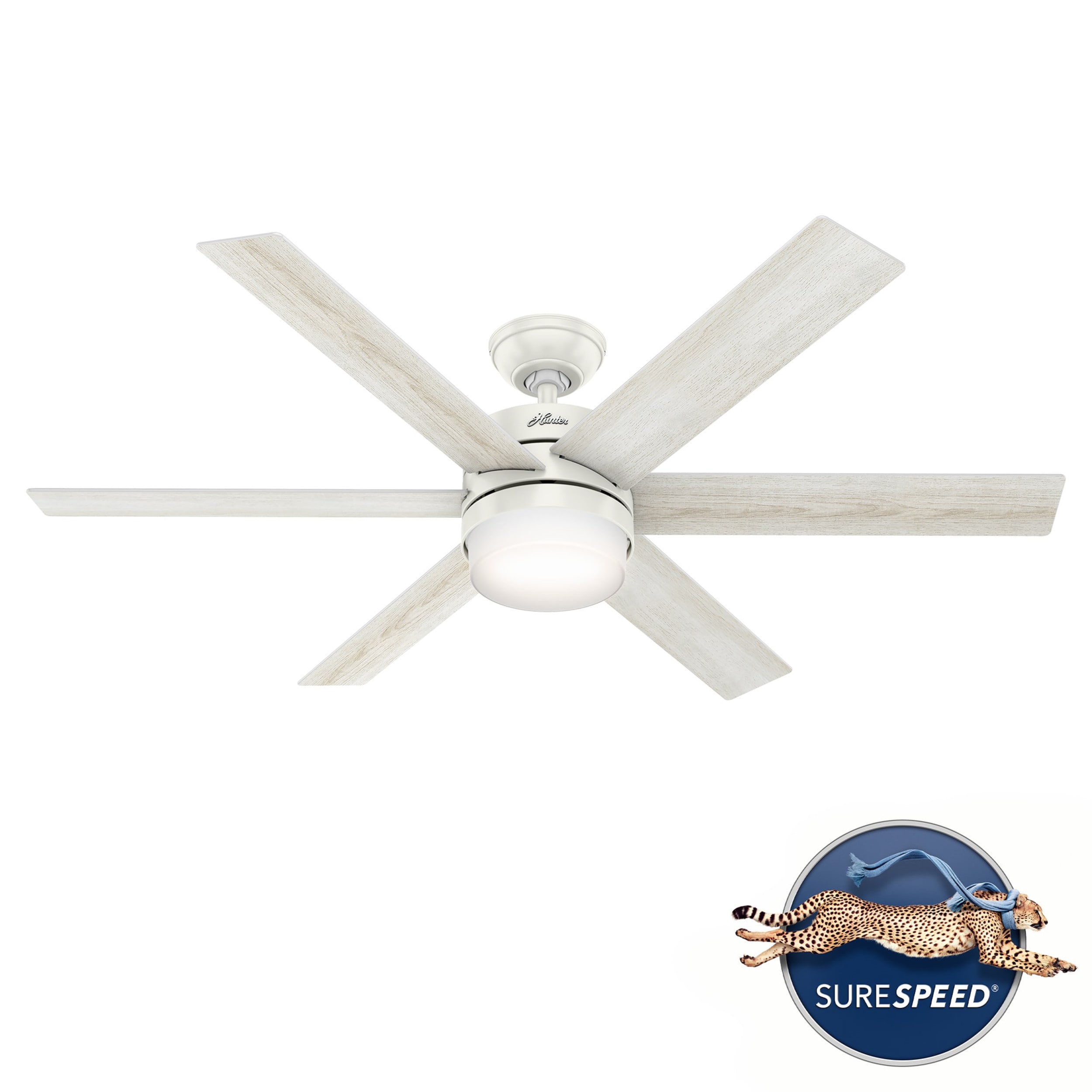 Hunter 50198 Ceiling-Fans - View #3
