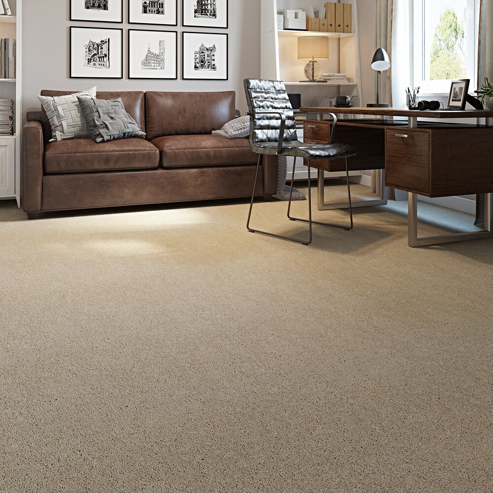 STAINMASTER STP43-12-L003 Carpet-Panel - View #3