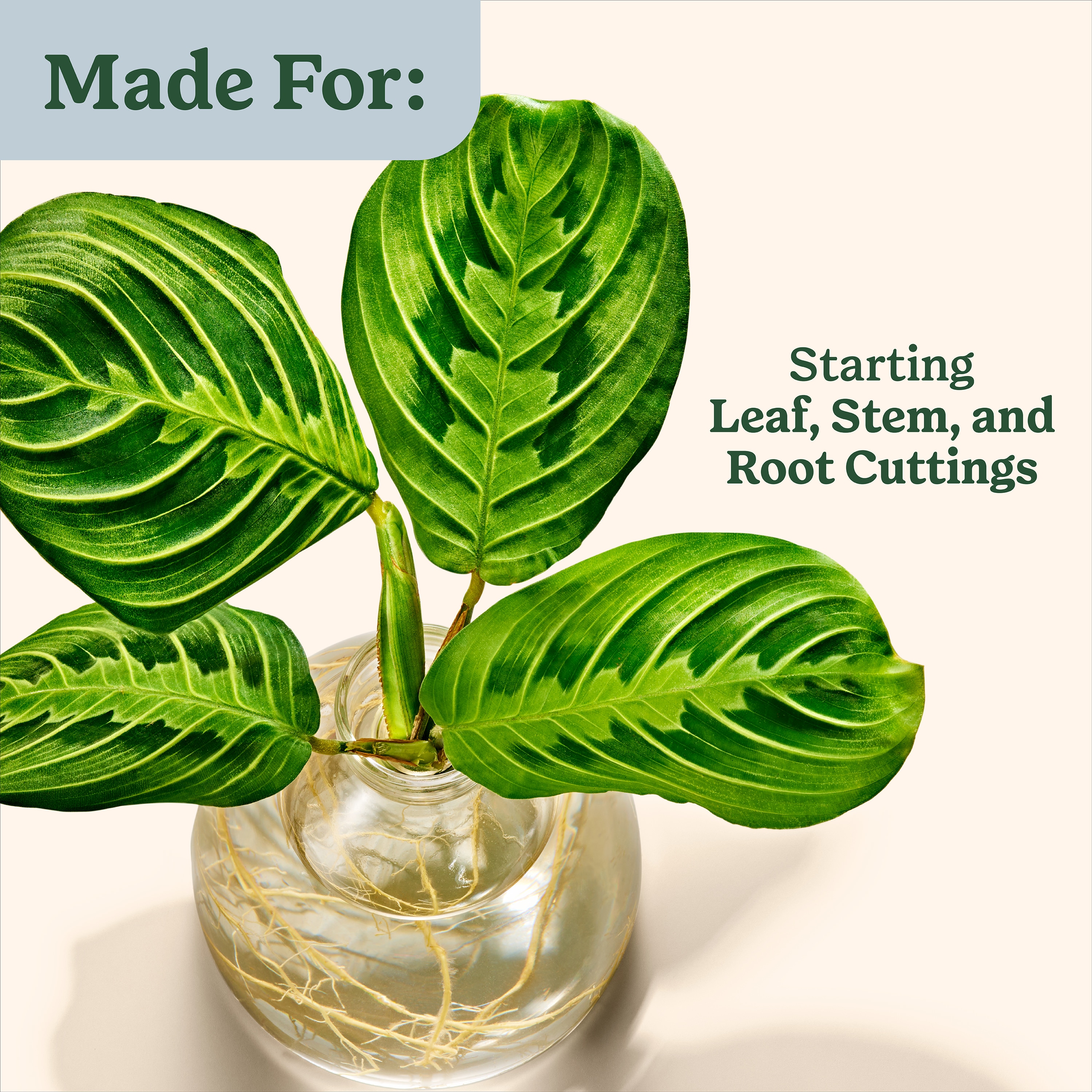 Miracle-Gro 3064404 Plant-Food - View #9