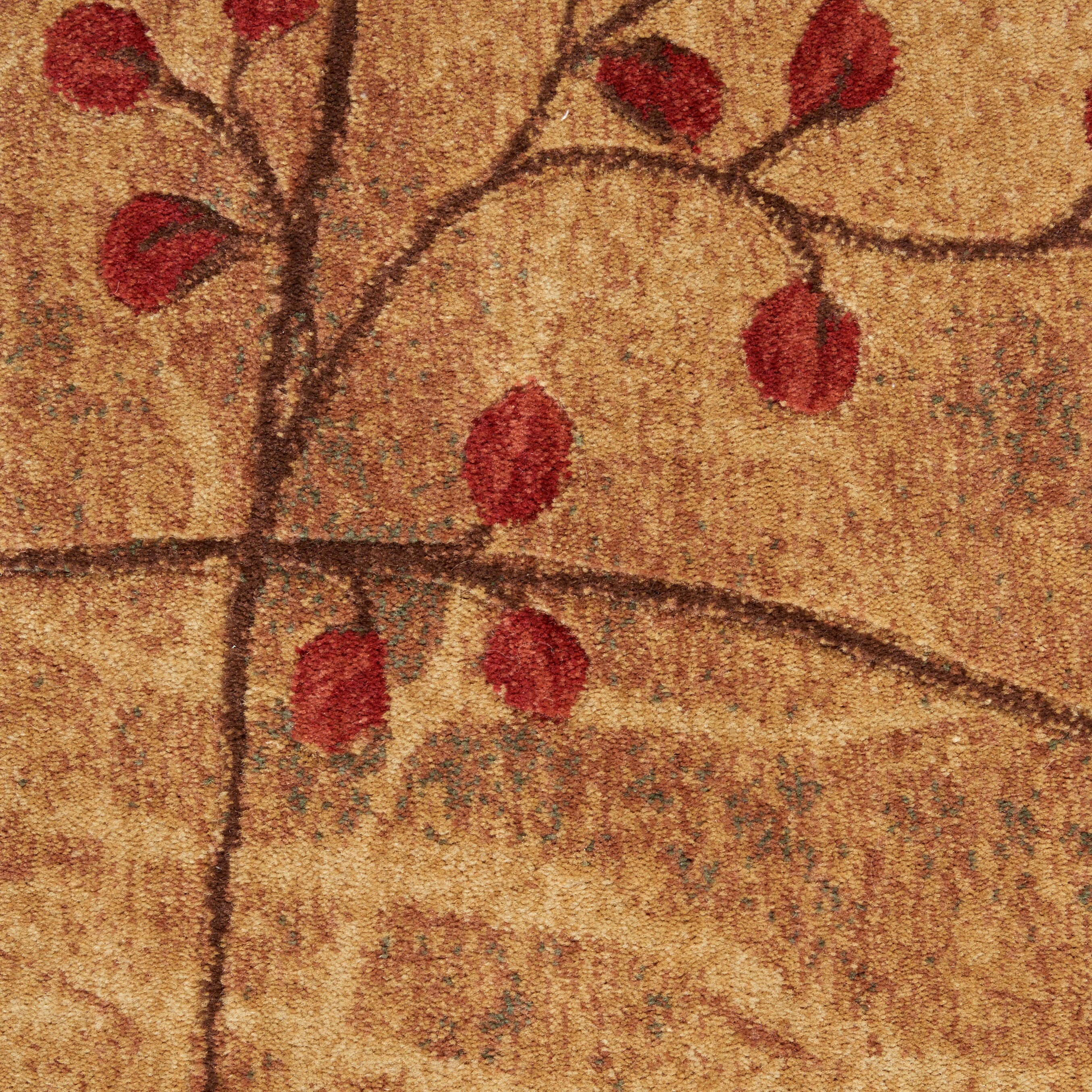 Nourison 02109 rugs - View #7