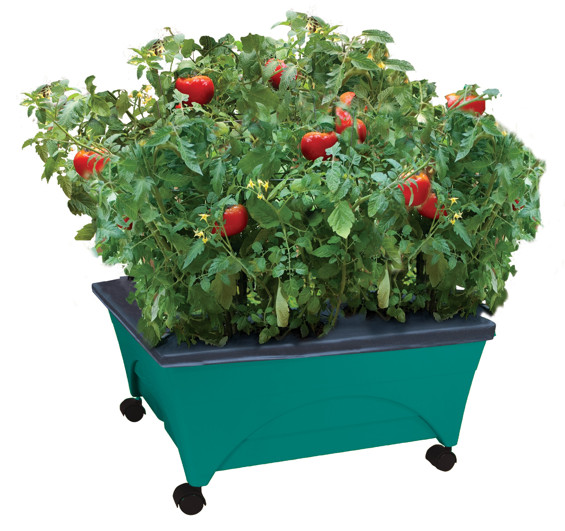 EMSCO GROUP 2360 2.7-cu ft 24-in W x 20-in L x 9.75-in H Teal Plastic Raised Garden Bed