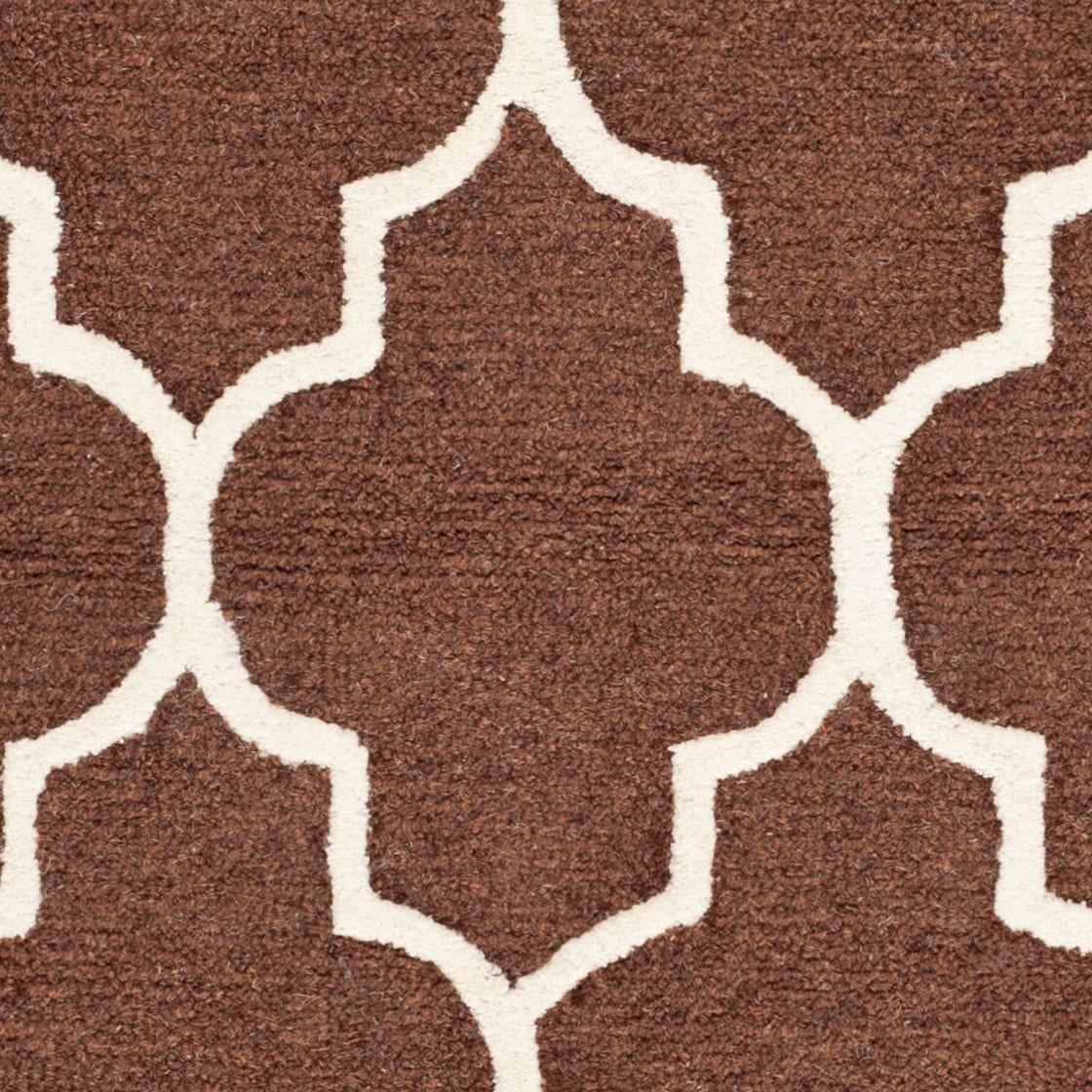 Safavieh CAM134H-5 rugs - View #4