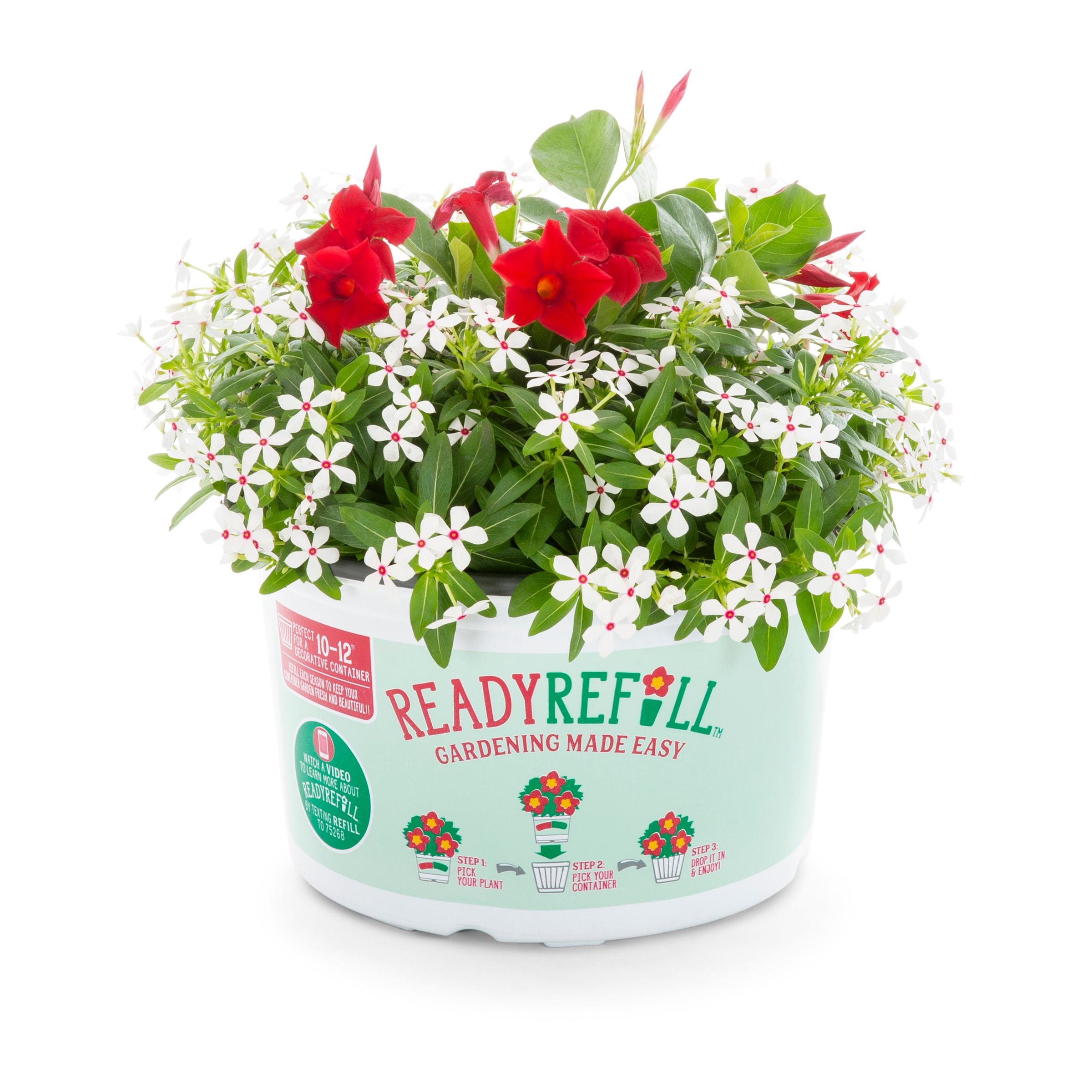 Ready Refill NURSERY Multicolor Mixed Annuals Combinations in 1.5-Gallon Pot