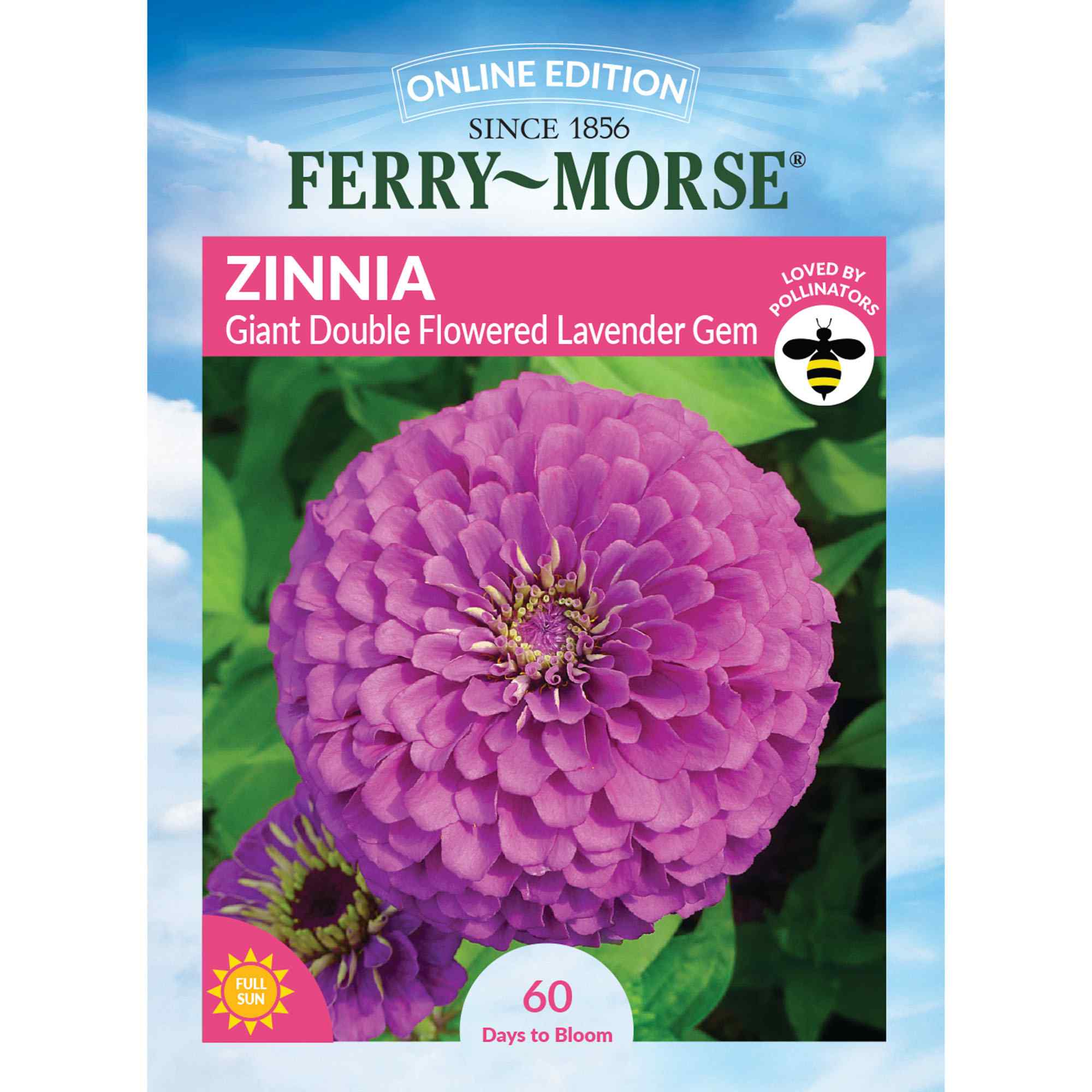 Ferry-Morse LC25.4140 Zinnia Seeds 900 Milligram(s)