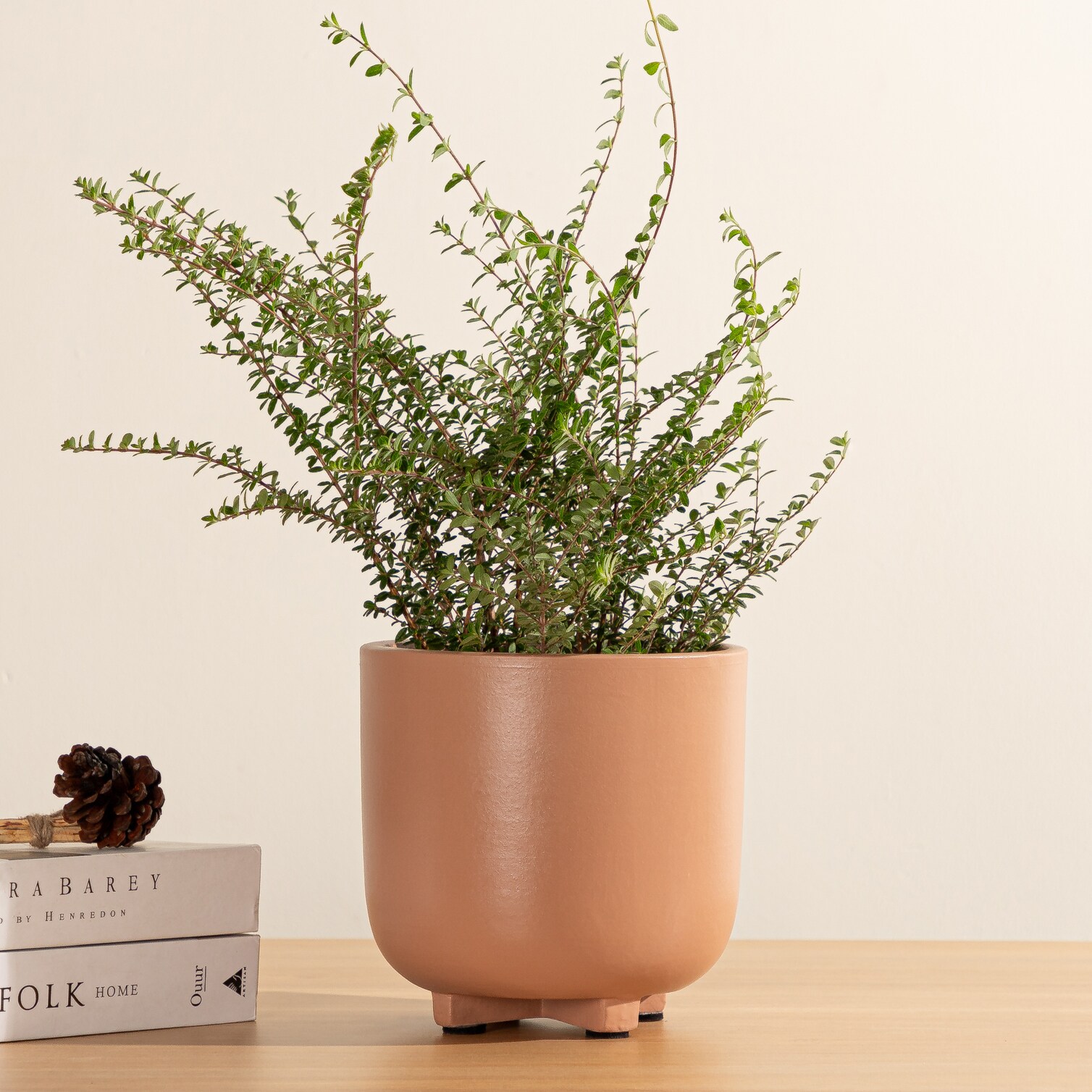Origin 21 LOW-25516512 Planter-Window-Box - View #11
