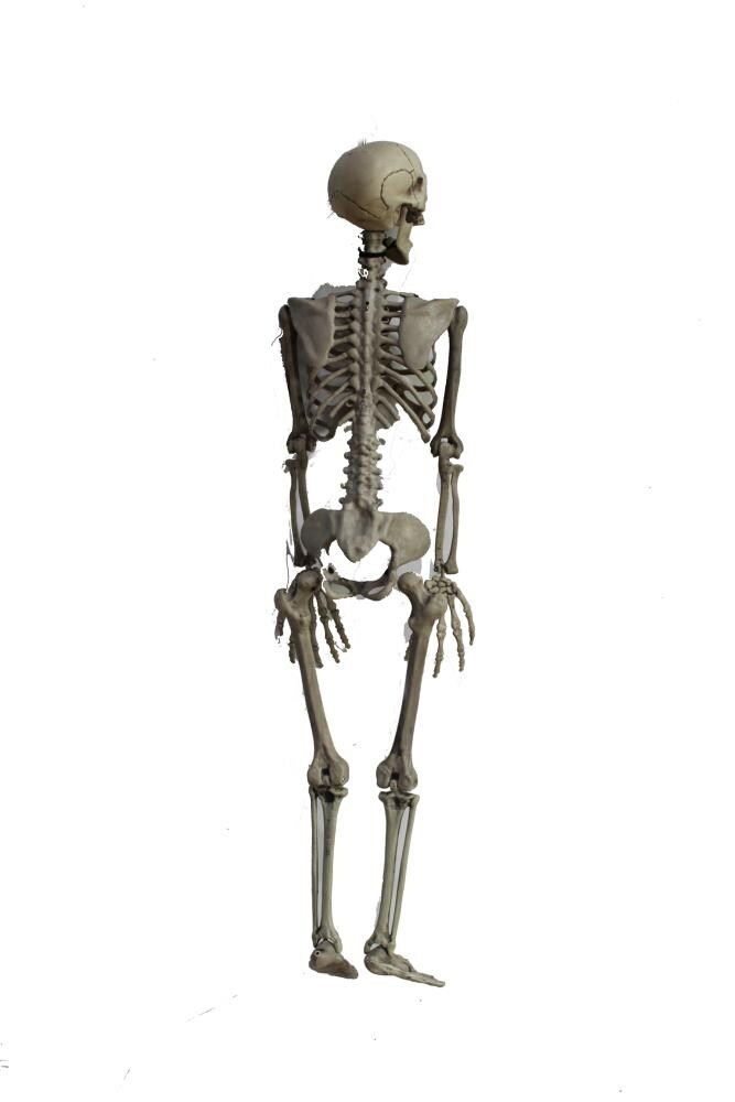 Holiday Living DCR-520820 Outdoor-Halloween-Decor - View #3