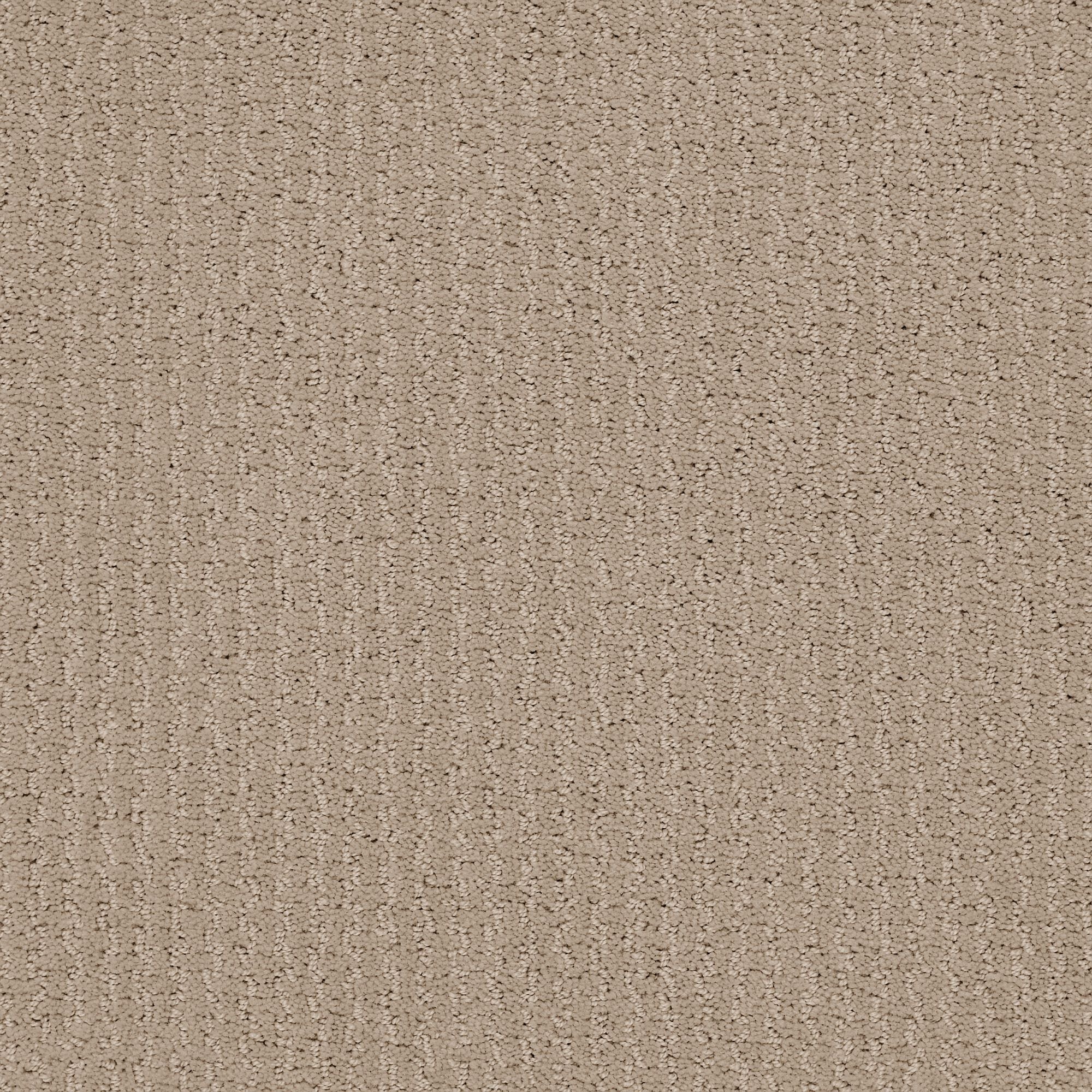 STAINMASTER PetProtect 7L85400733 Summer Nights Tumbleweed Brown 39-oz sq yard Nylon Pattern Indoor Carpet