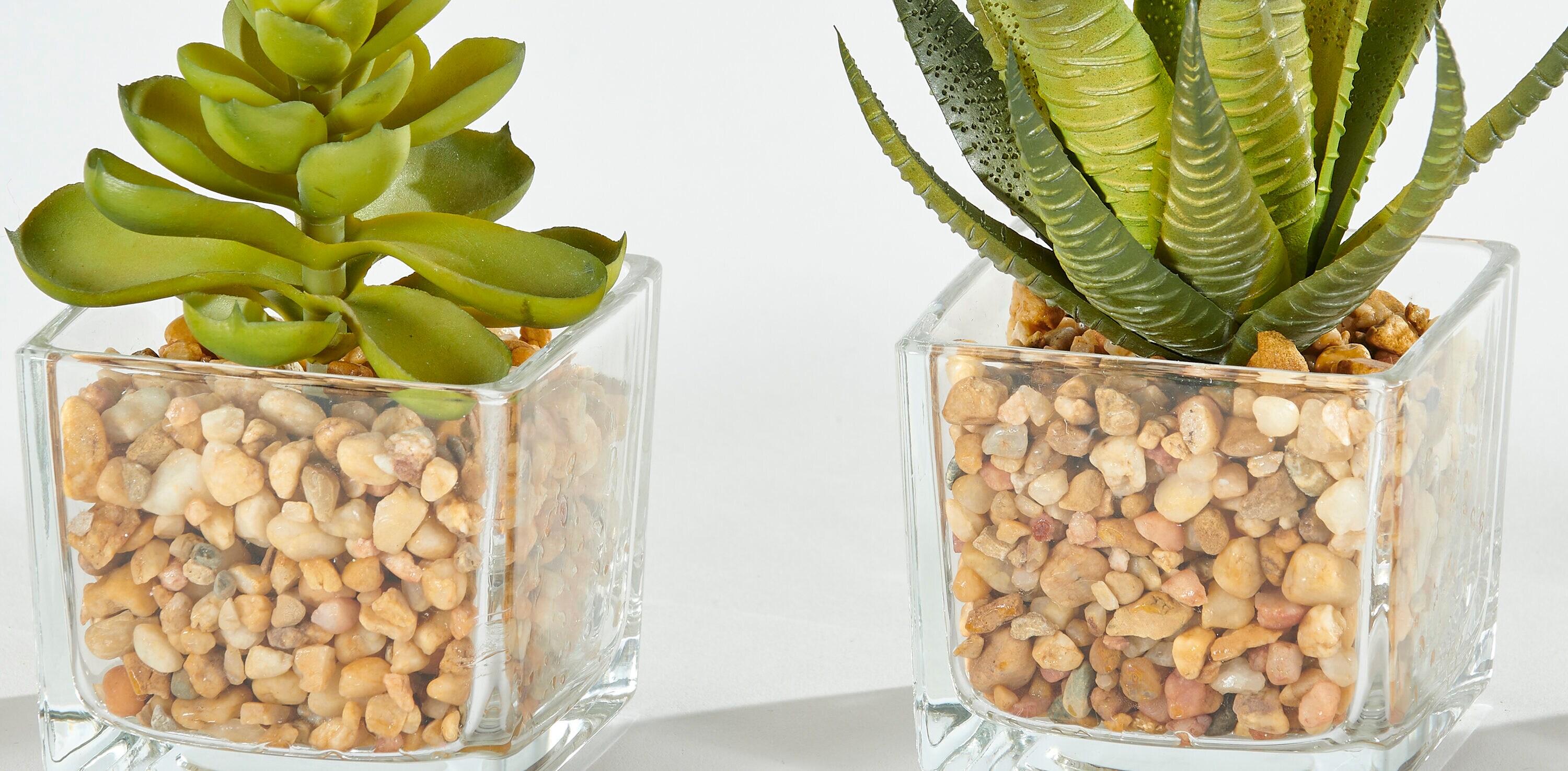 Worth Imports 1953 Artificial-Plants-Trees - View #2