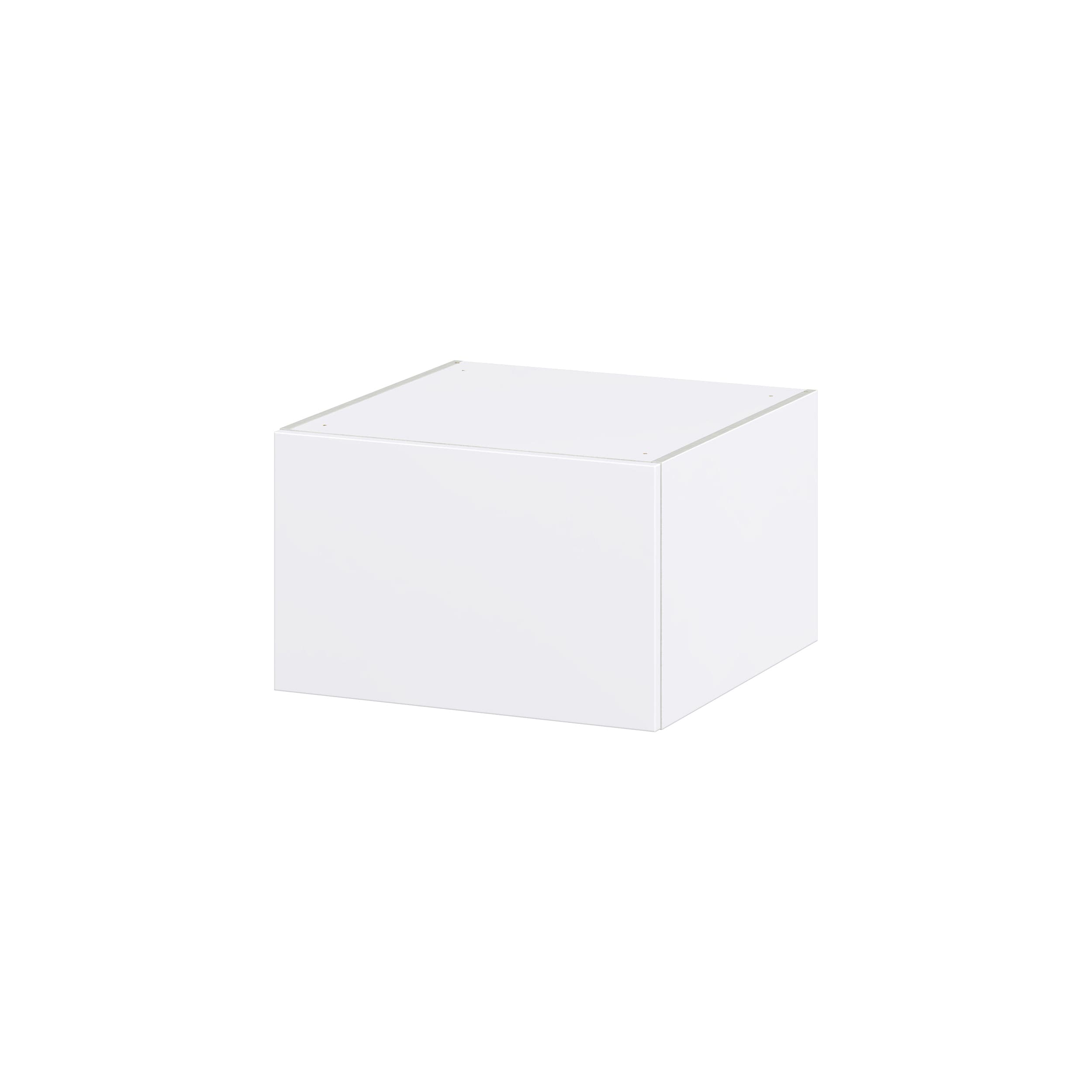 Hugo&Borg Lasalle 24-in W x 15-in H x 14-in D Bright White Slab Wall Fully Assembled Cabinet (Flat Panel Slab Door Style)