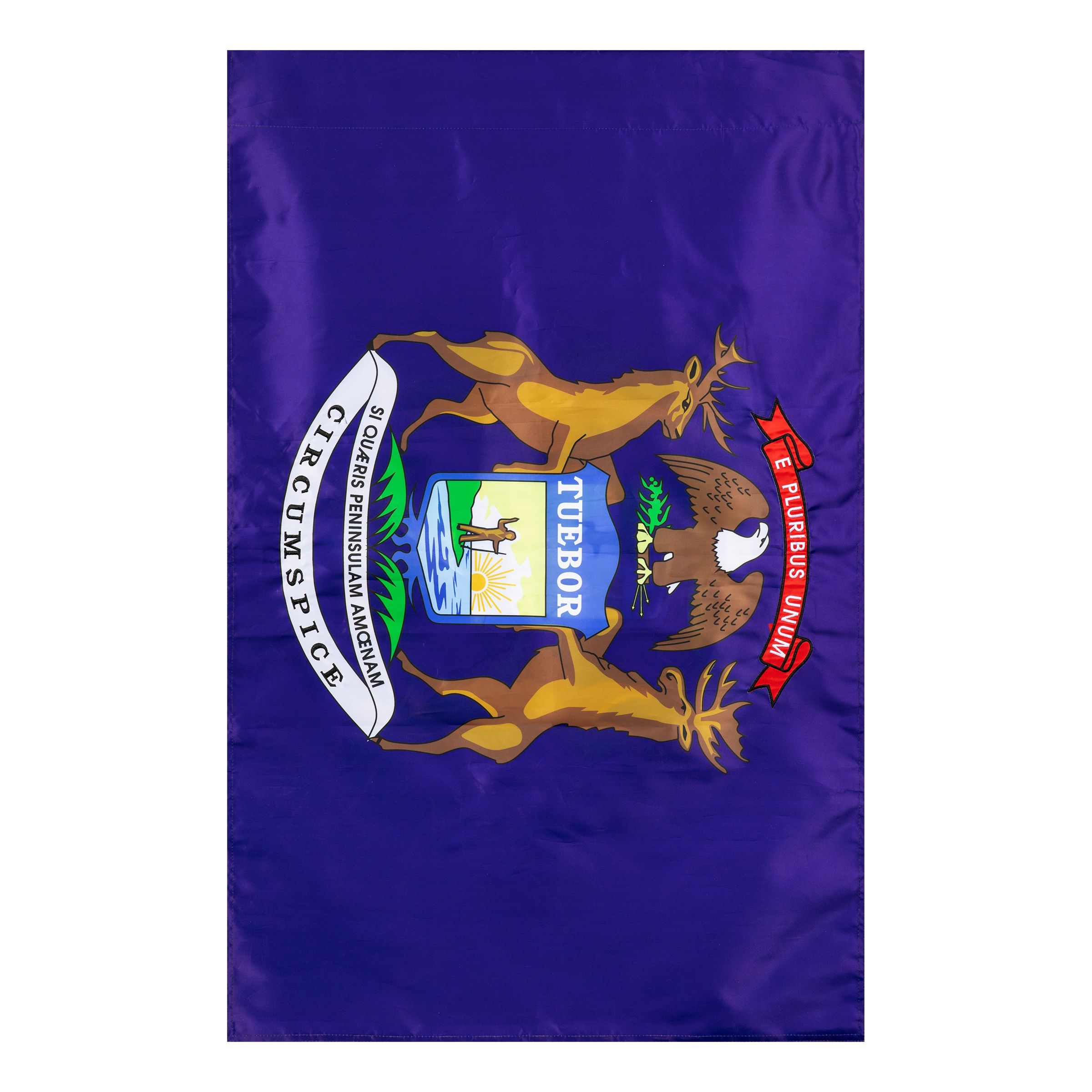 Style Selections ZLW1510420 2 W x 4 H Michigan State House flag