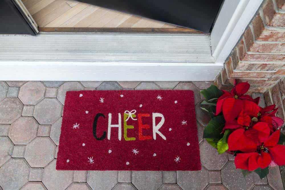 Entryways P2246 Mats-Cat - View #3