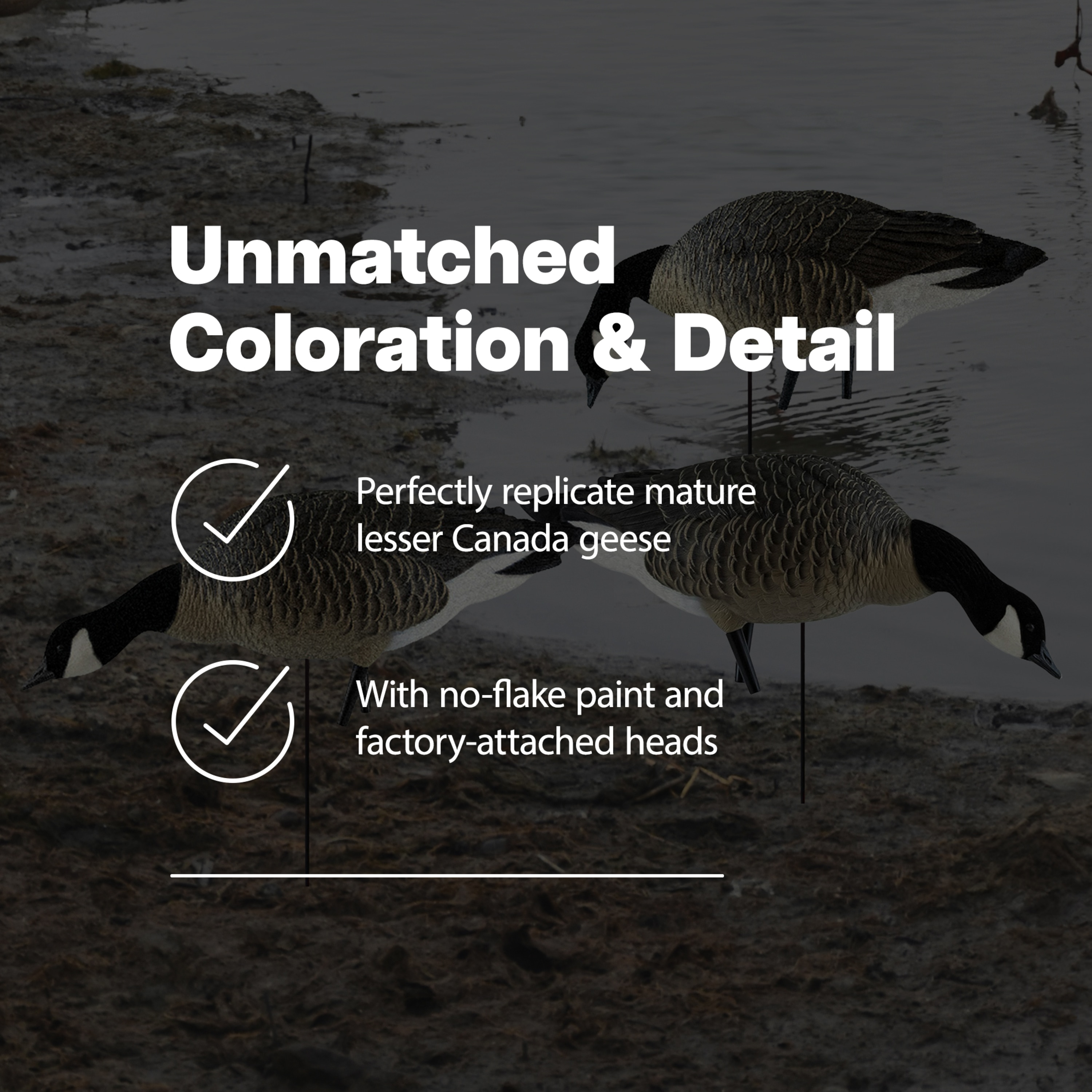  Avian X 408539 Hunting-Equipment - View #3