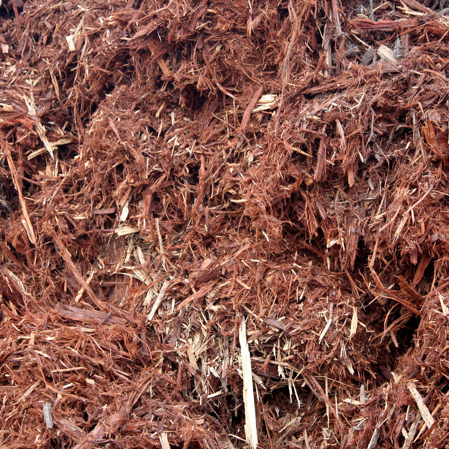 All-natural Wood Chips – See Clear Tree
