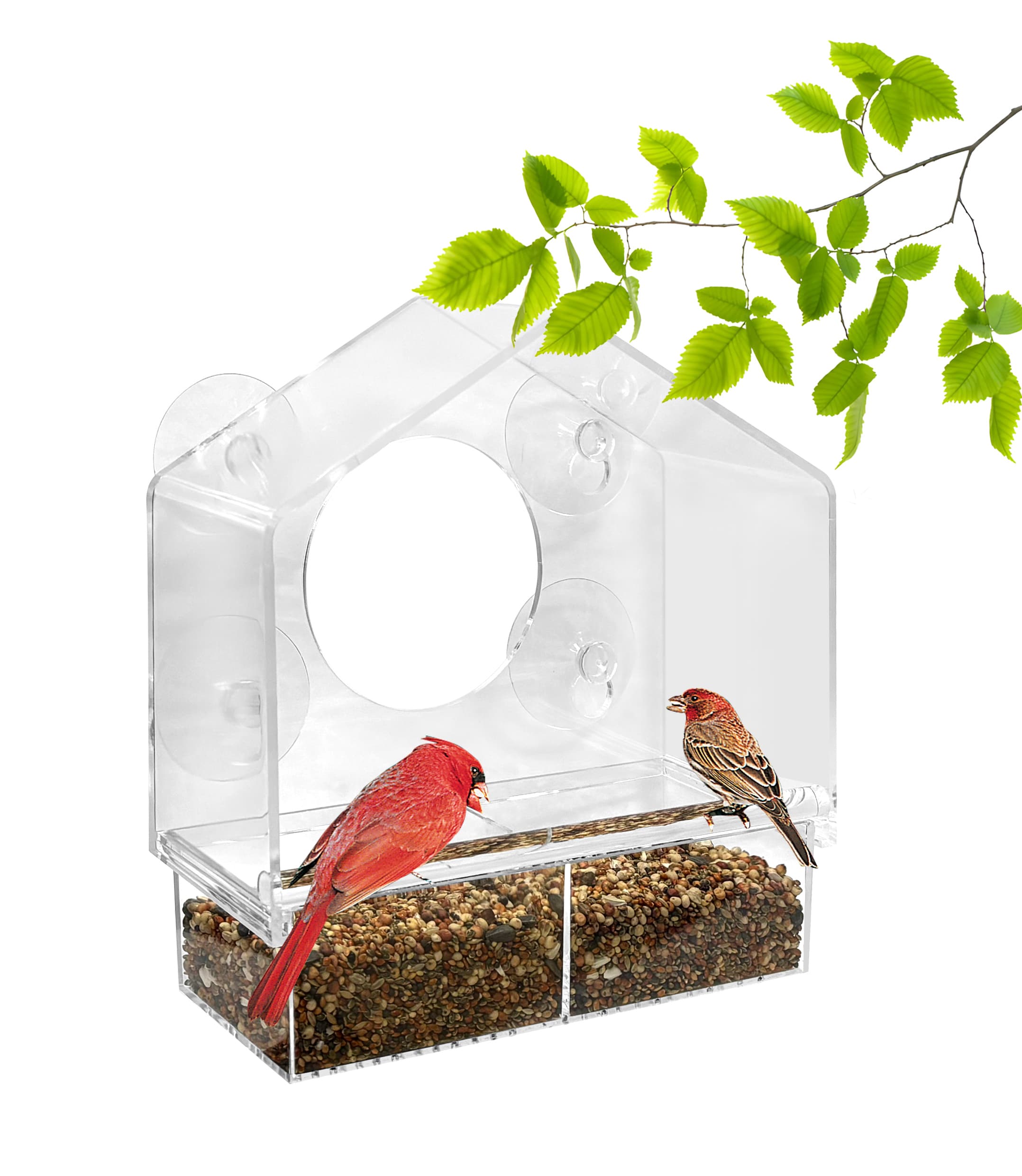 Style Selections Acrylic Window-mount (suction Cup) Window Bird Feeder ...