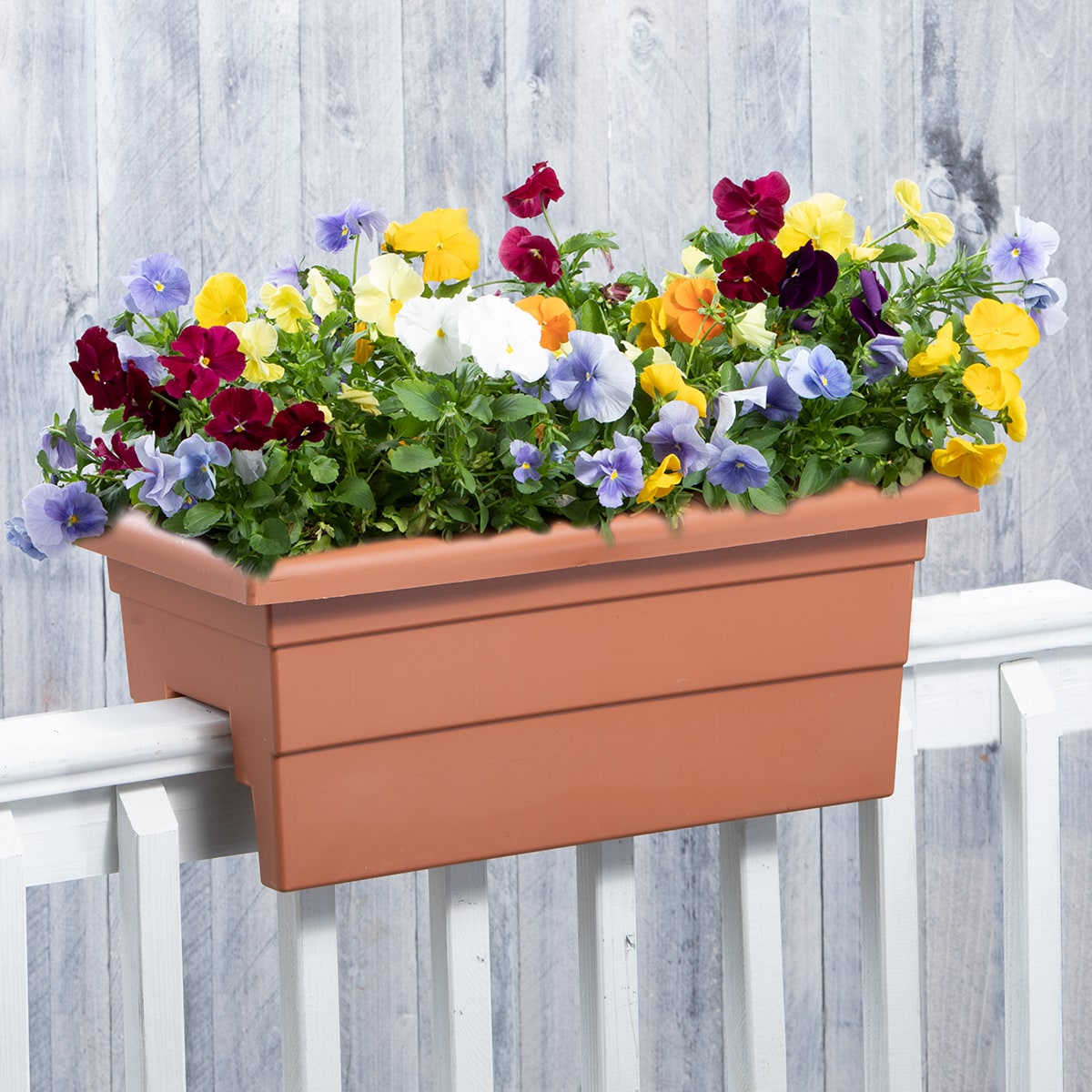 Novelty Manufacturing 026978262455 Planter-Window-Box - View #5