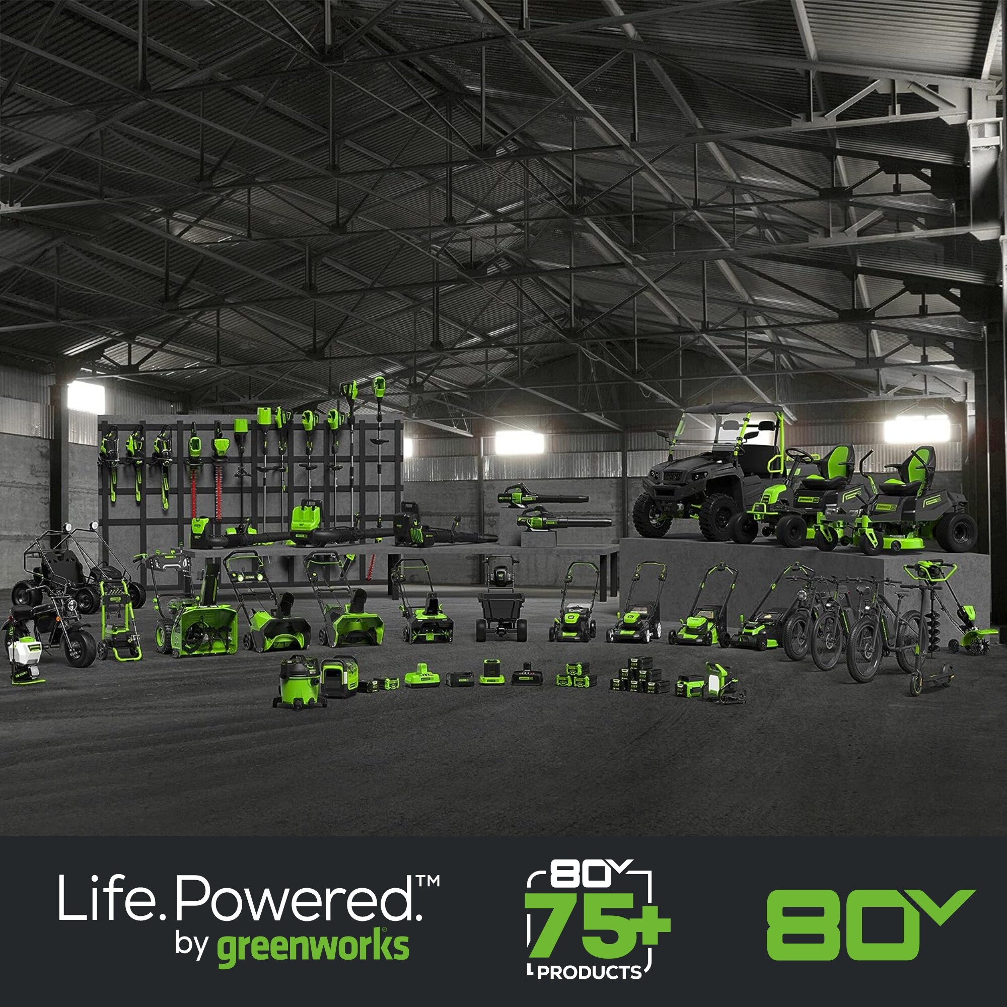 Greenworks Pro SS80L210 m040060 - View #14