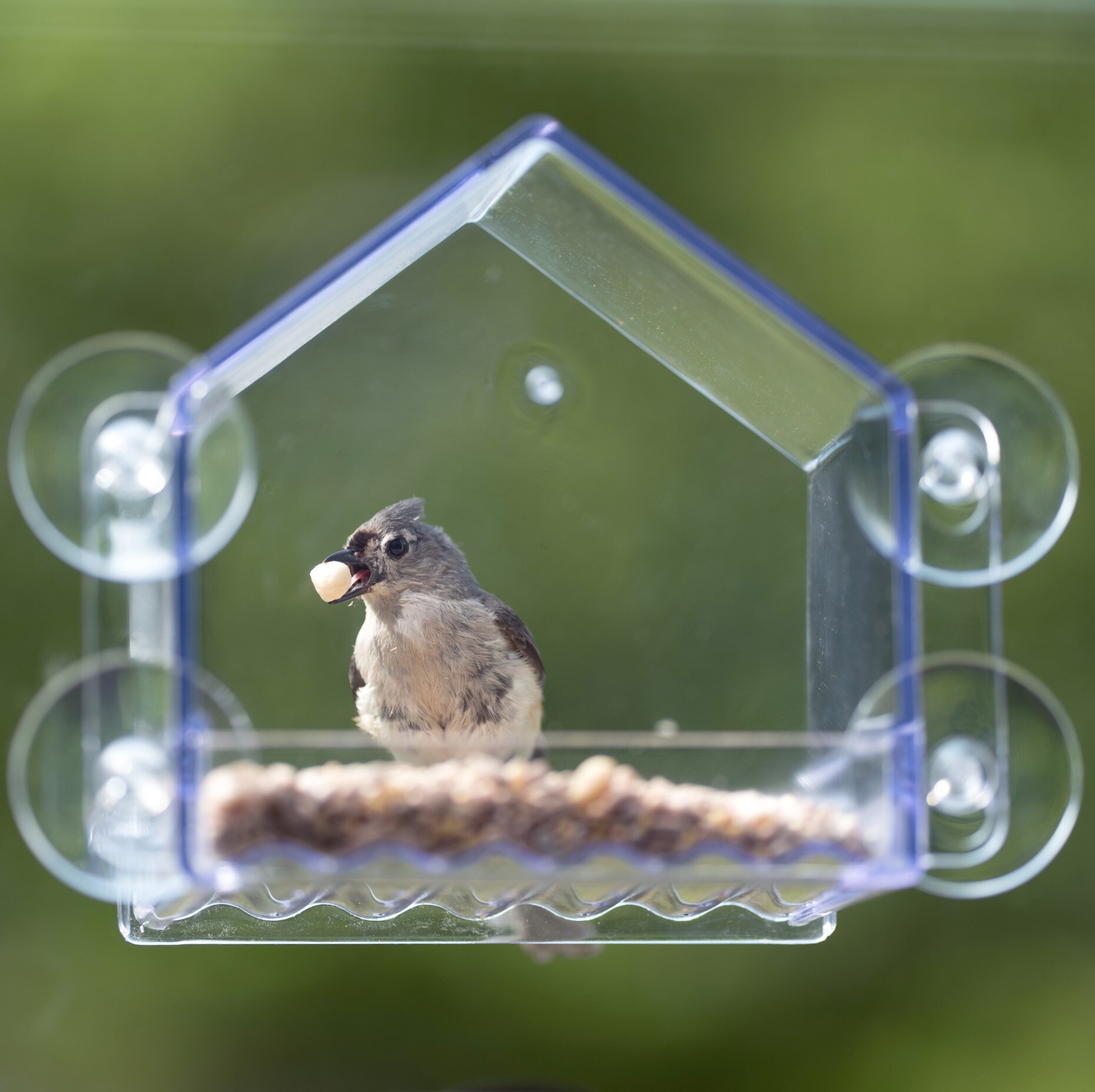 Nature's Way WIN-3-CP1 Bird-Feeders - View #3