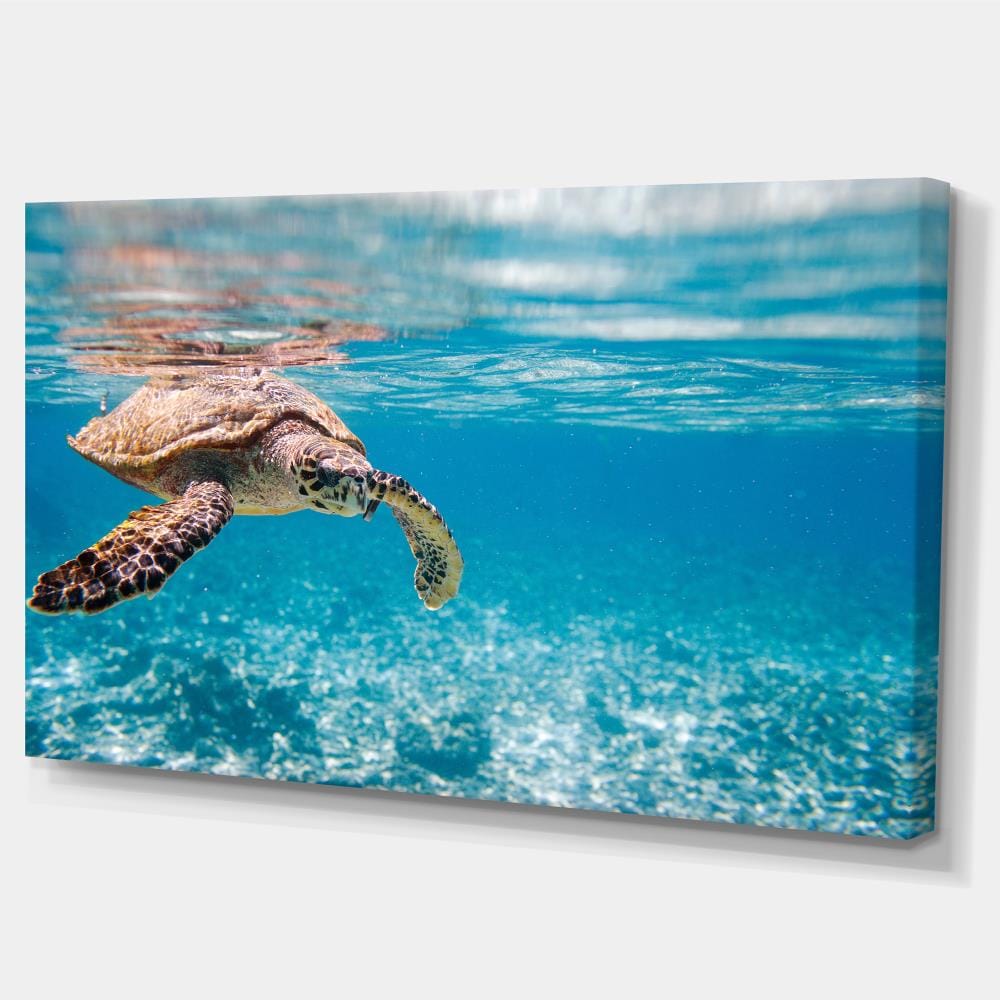 Designart 28-in H x 60-in W Coastal Print on Canvas at Lowes.com