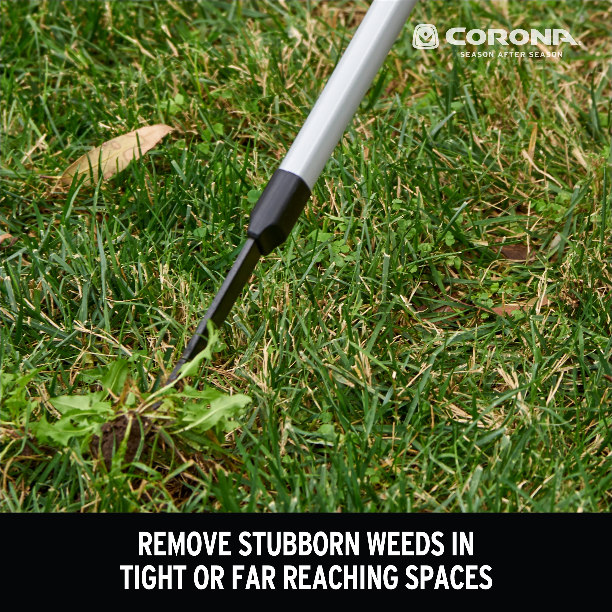 Corona GT 3254 weeders - View #2