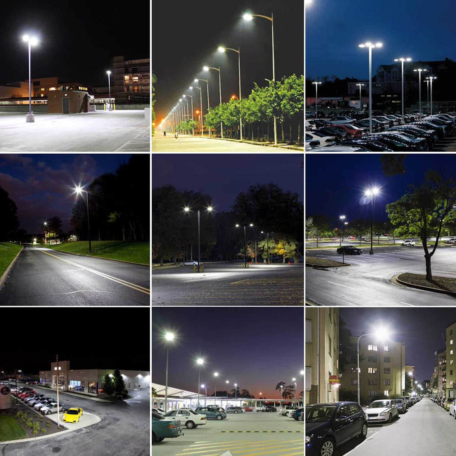 Cedar Hill 855509 Area-Lights - View #3