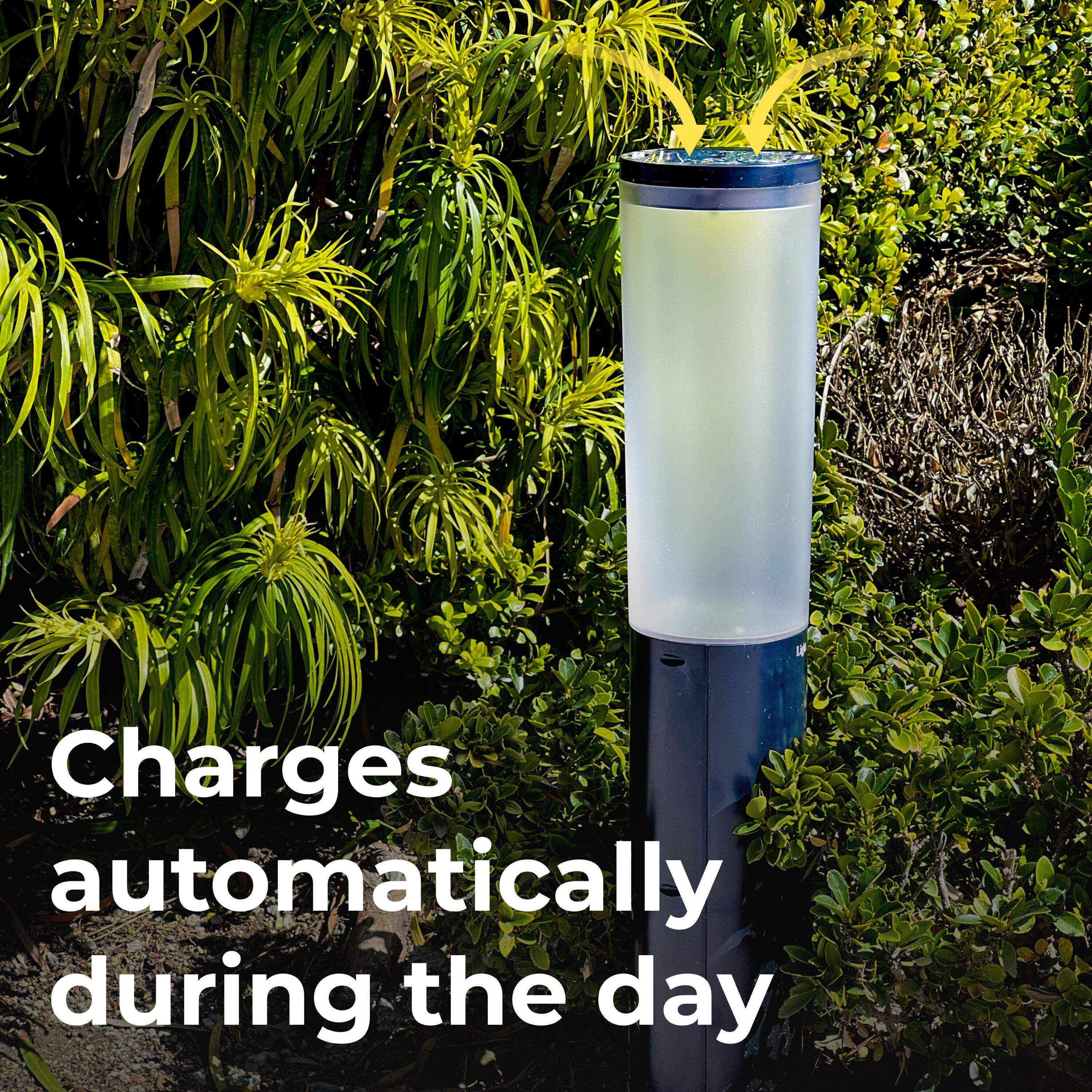 Black Solar LED Pathway Light with Dusk to Dawn Sensor