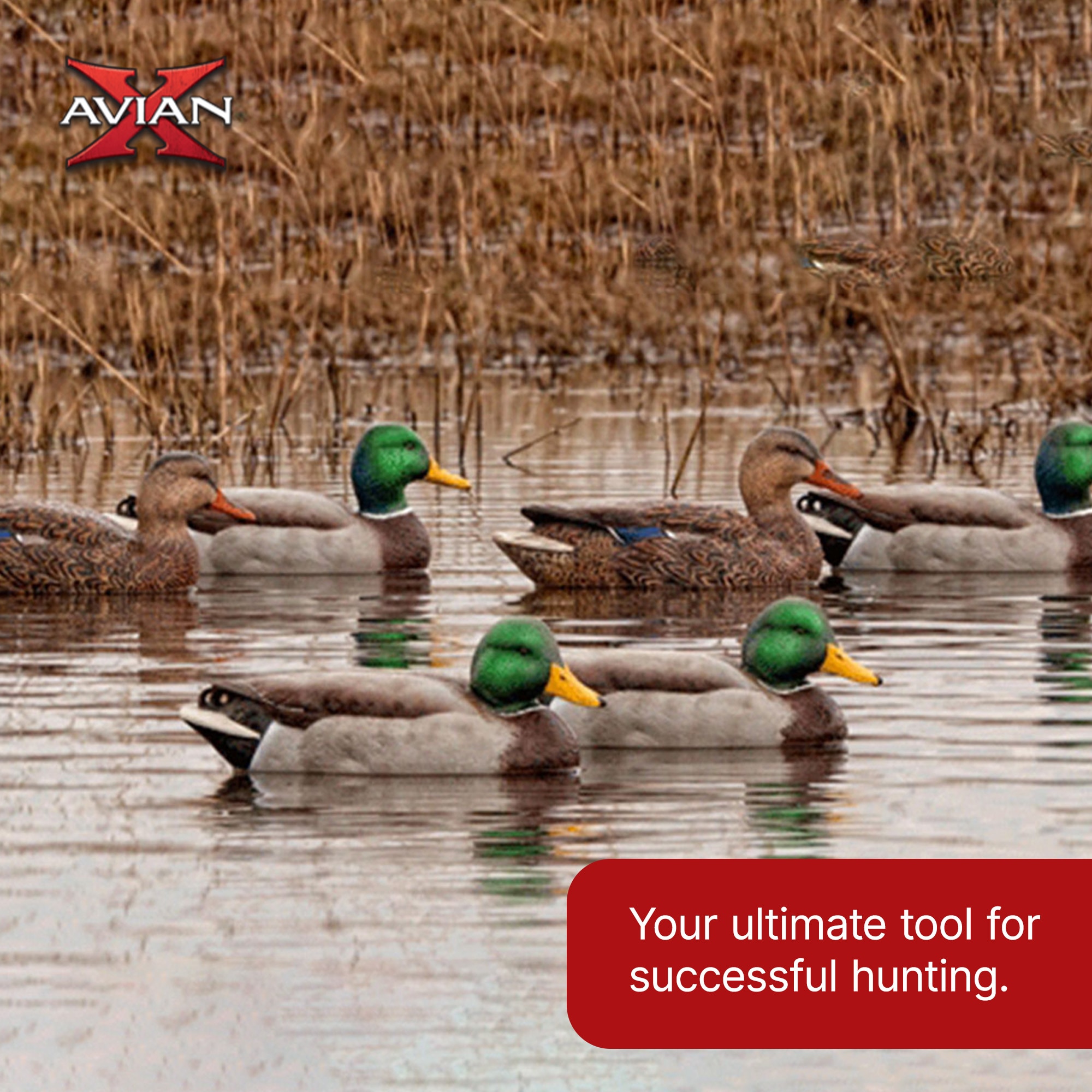 Avian X AVX-AVX8061 Hunting-Equipment - View #6