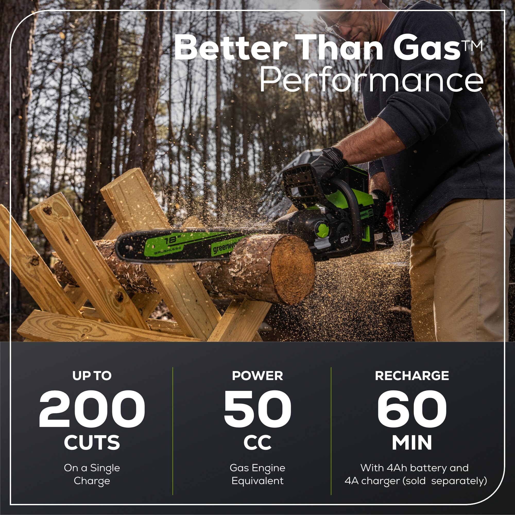 Greenworks CS80L03 Cordless-Chainsaw - View #3